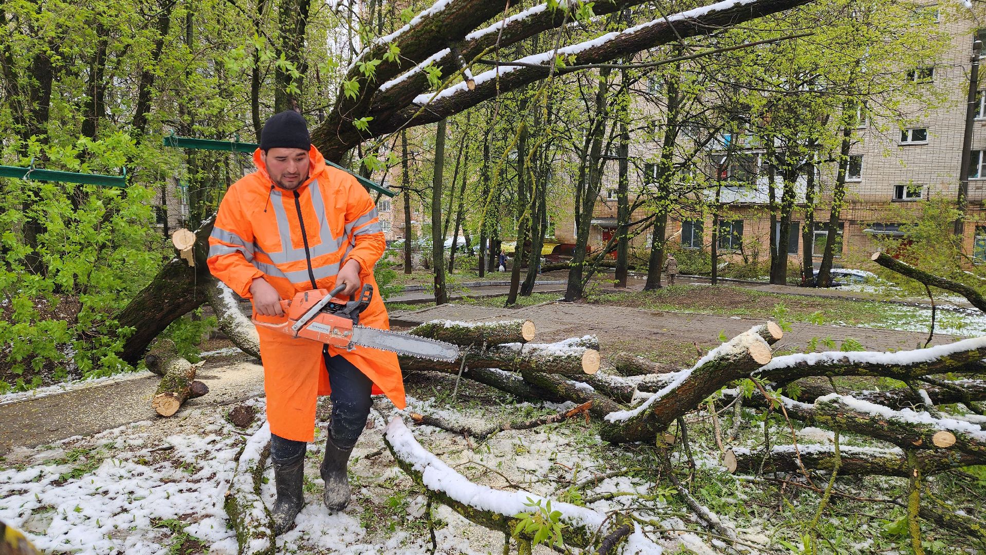 истра, благоустройство, коммунальная служба,
