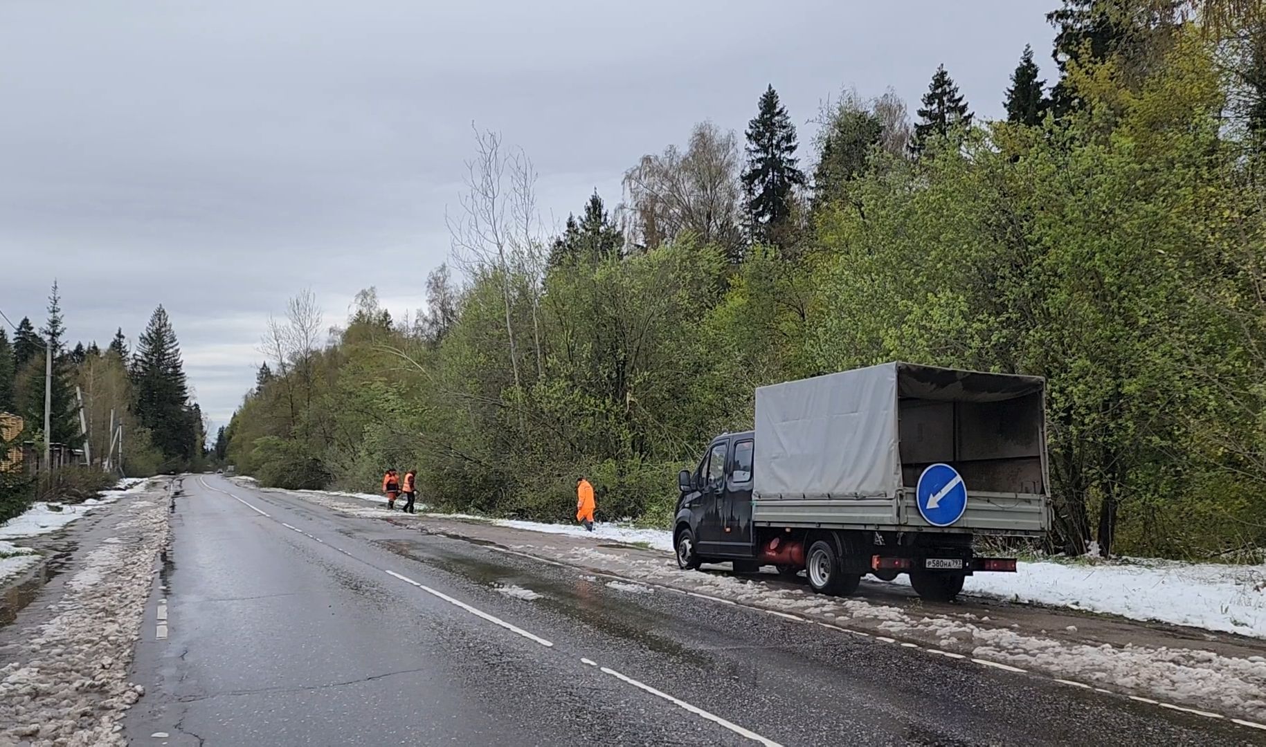 коммунальщики, деревья, бригада, опиловка,