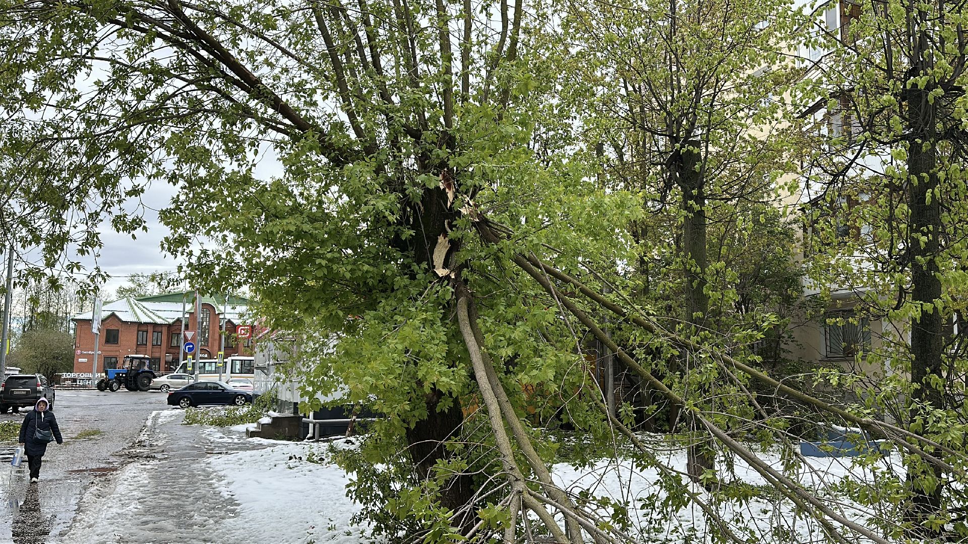 клин, общество, жкх, чп, устранение последствий снегопада,