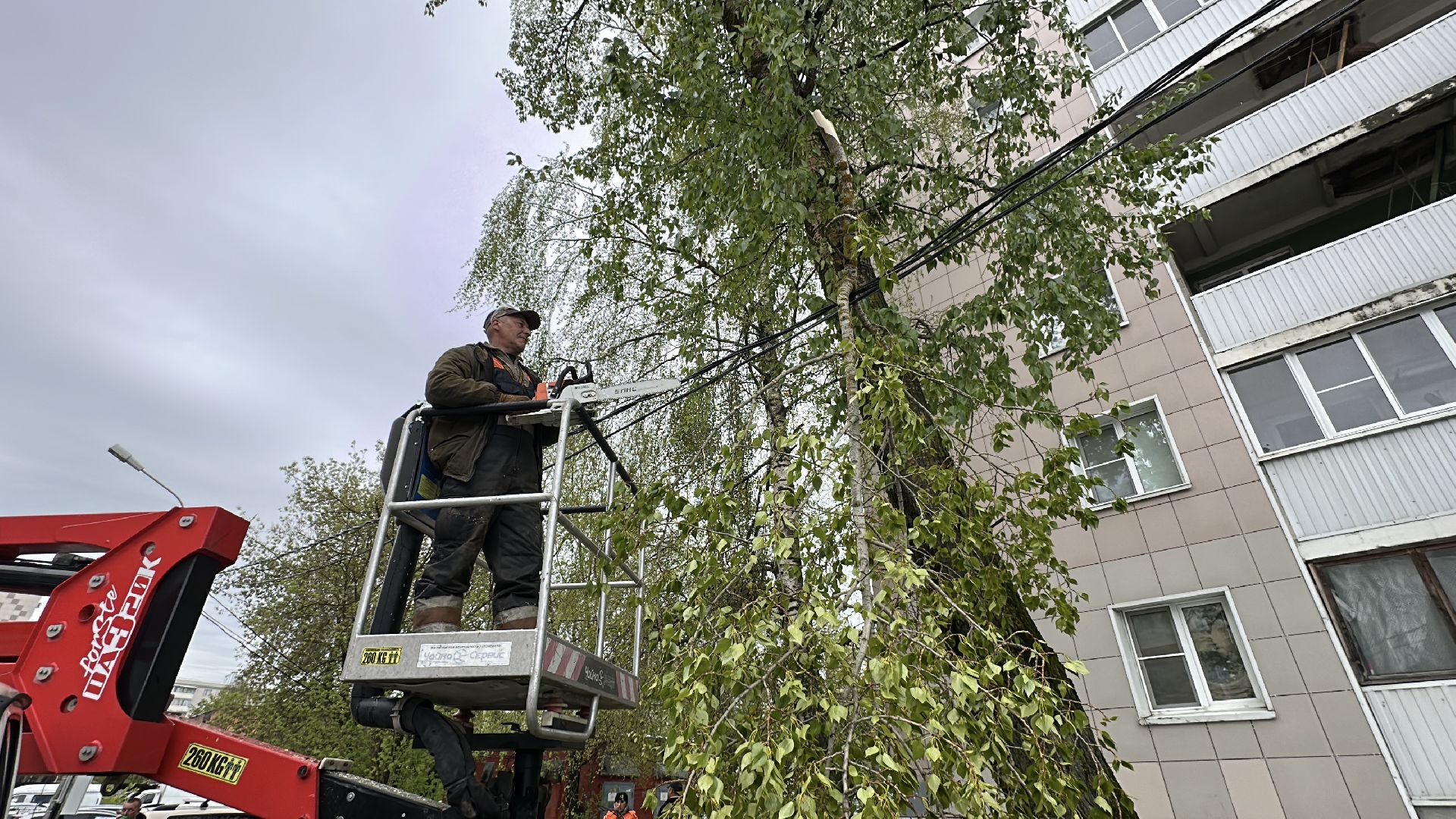 клин, общество, жкх, чп, устранение последствий снегопада,