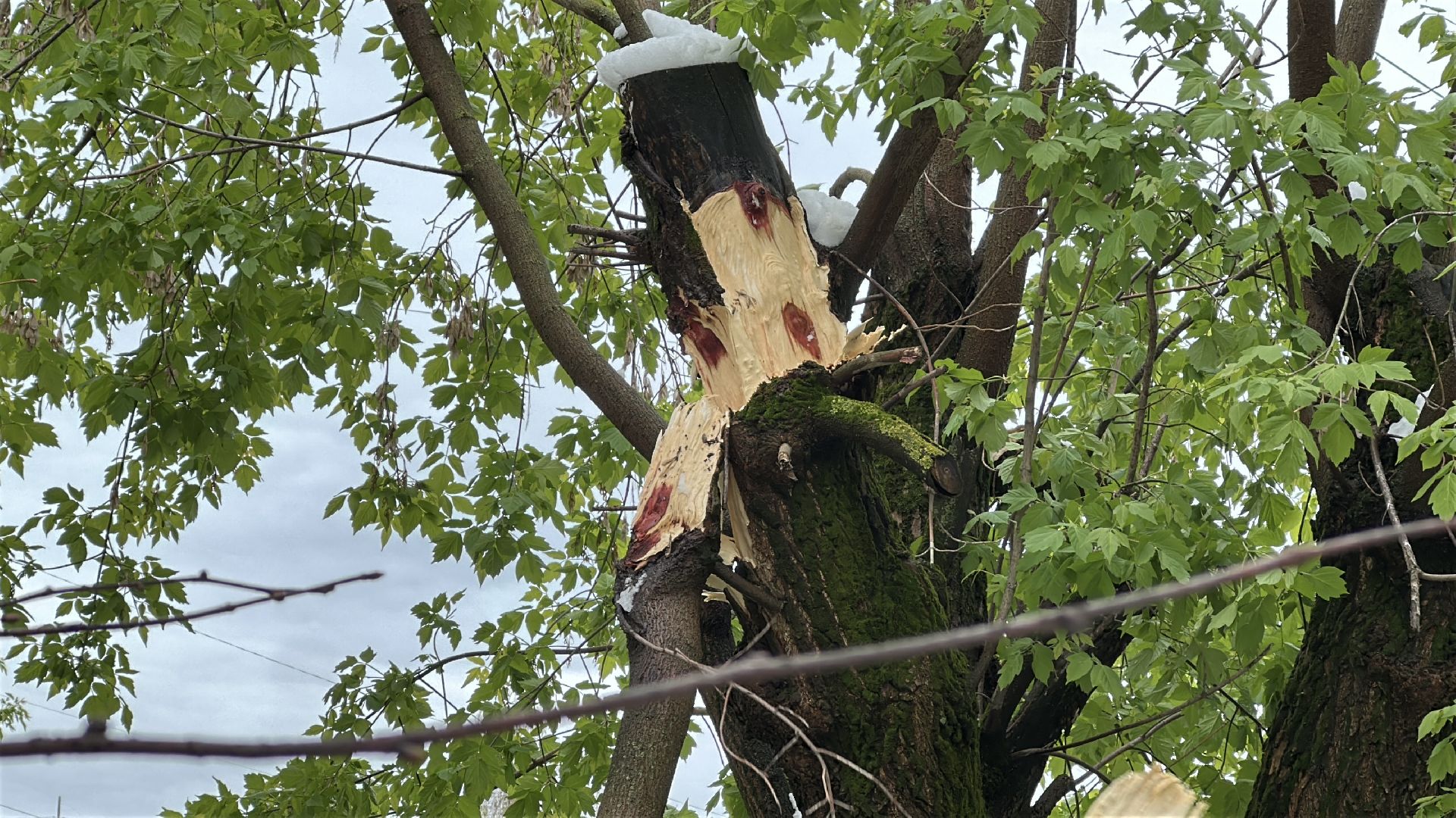 клин, общество, жкх, чп, устранение последствий снегопада,