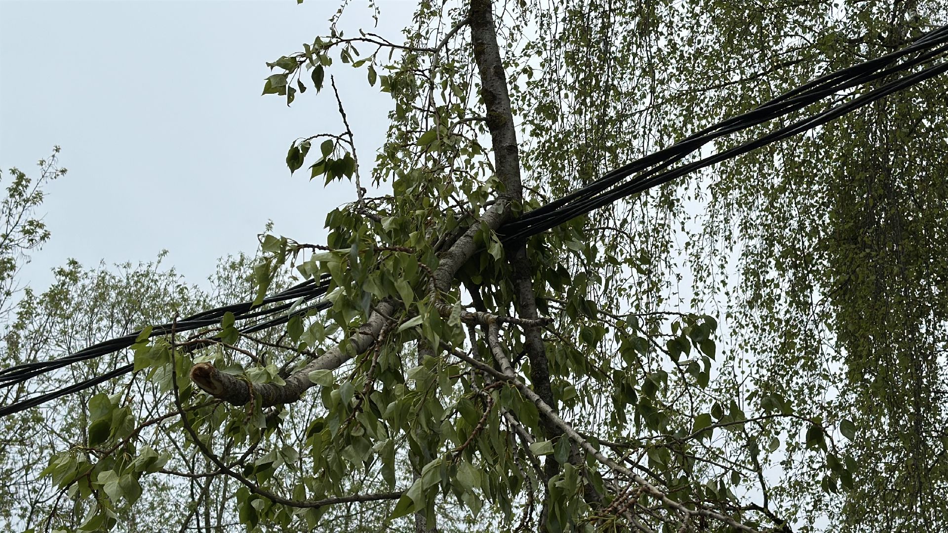 клин, общество, жкх, чп, устранение последствий снегопада,