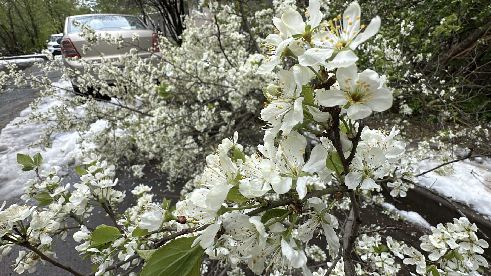 клин, общество, жкх, чп, устранение последствий снегопада,
