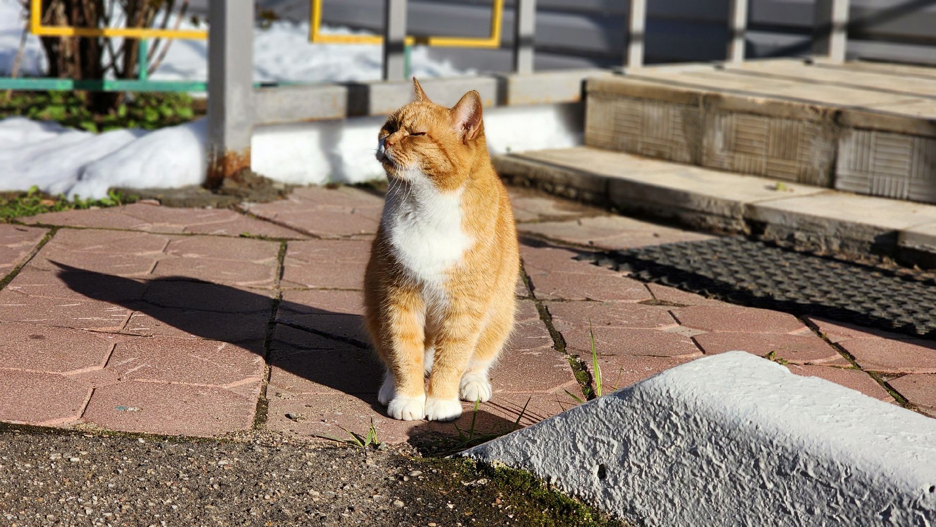 Электроснабжение, Моэск, Дизель-генератор, Руза,