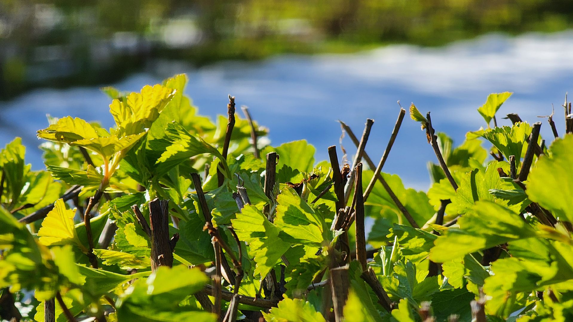 Электроснабжение, Моэск, Дизель-генератор, Руза,