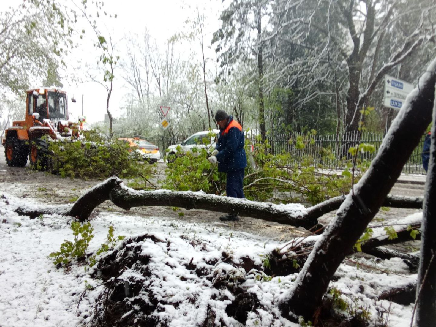 последствия снегопада, ивантеевка, упавшие деревья, коммунальная служба, коммунальная техника, подтопление территории,