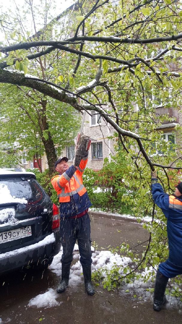 последствия снегопада, ивантеевка, упавшие деревья, коммунальная служба, коммунальная техника, подтопление территории,