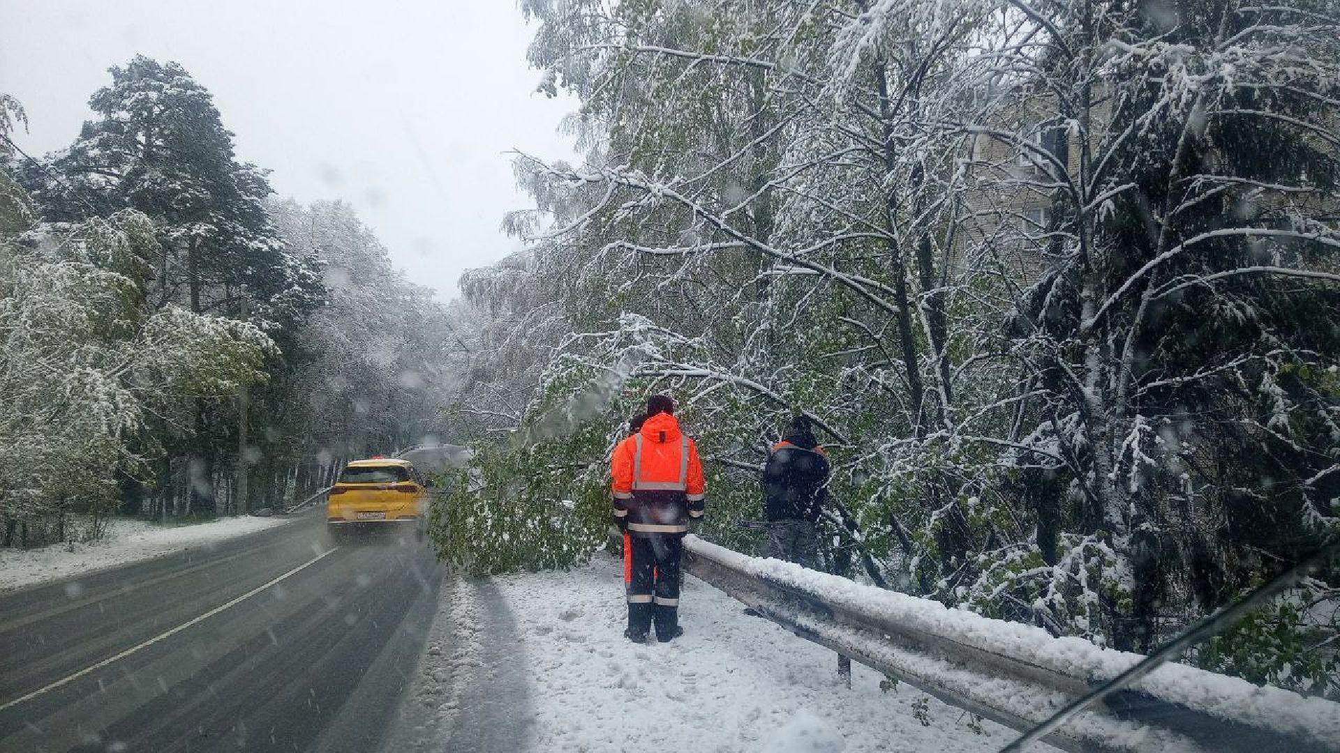 последствия снегопада, ивантеевка, упавшие деревья, коммунальная служба, коммунальная техника, подтопление территории,
