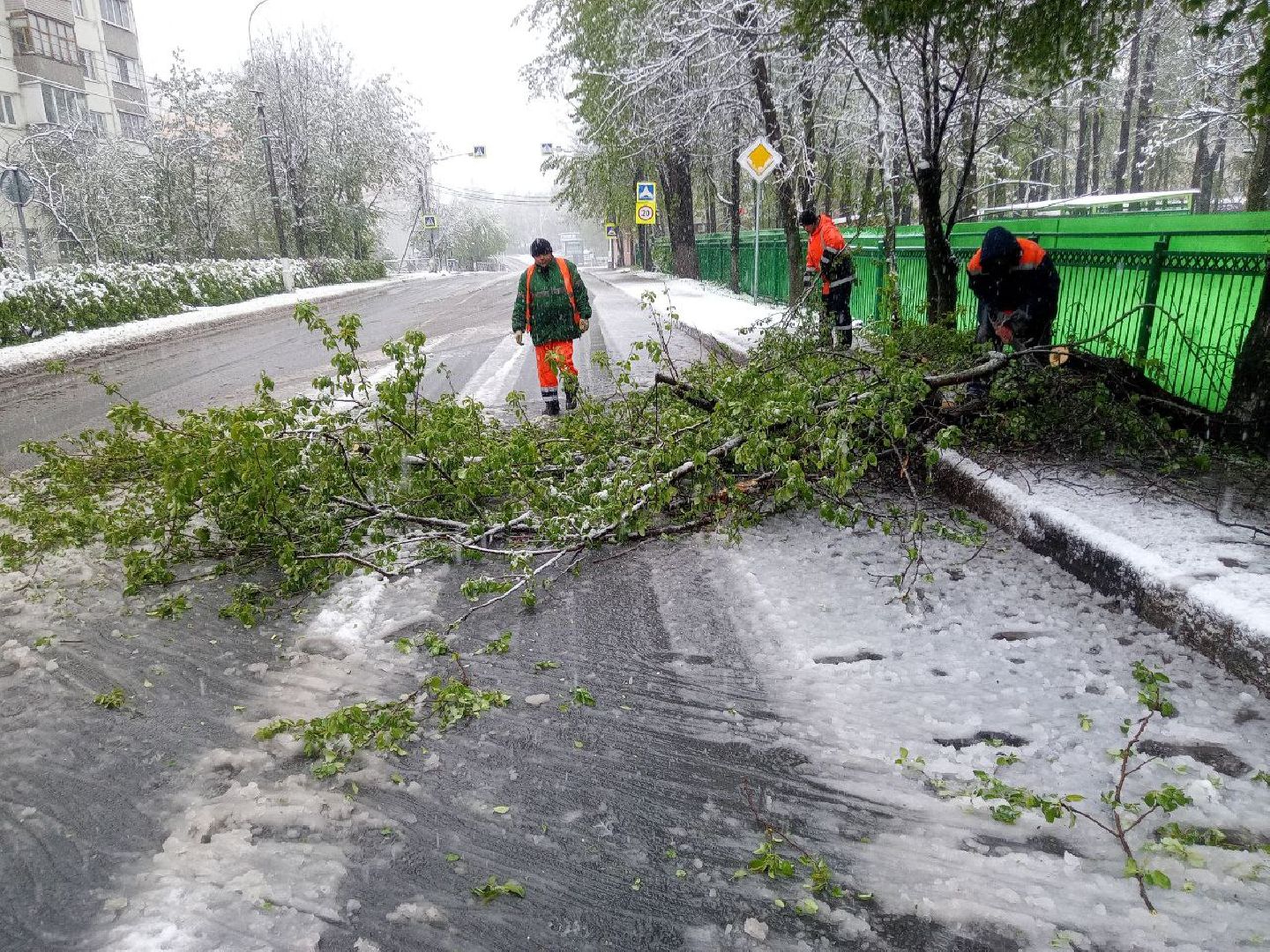 последствия снегопада, ивантеевка, упавшие деревья, коммунальная служба, коммунальная техника, подтопление территории,