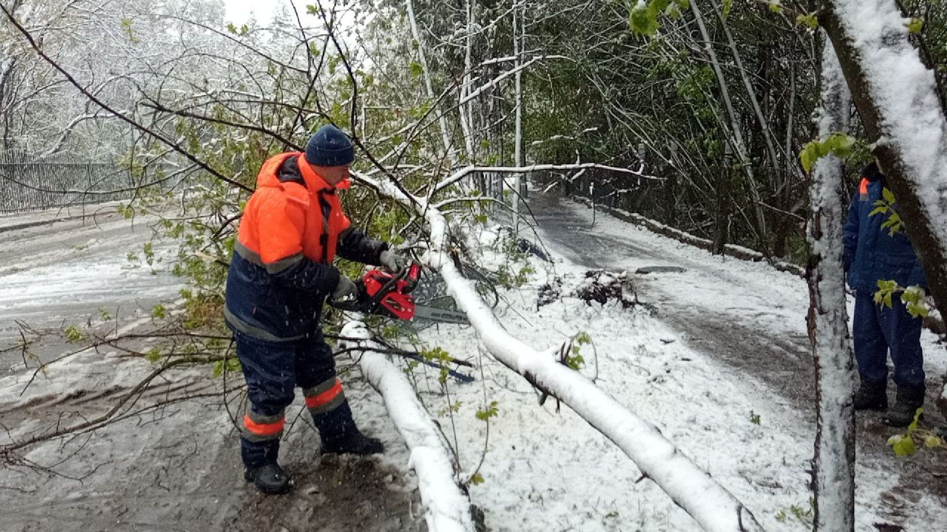 последствия снегопада, ивантеевка, упавшие деревья, коммунальная служба, коммунальная техника, подтопление территории,
