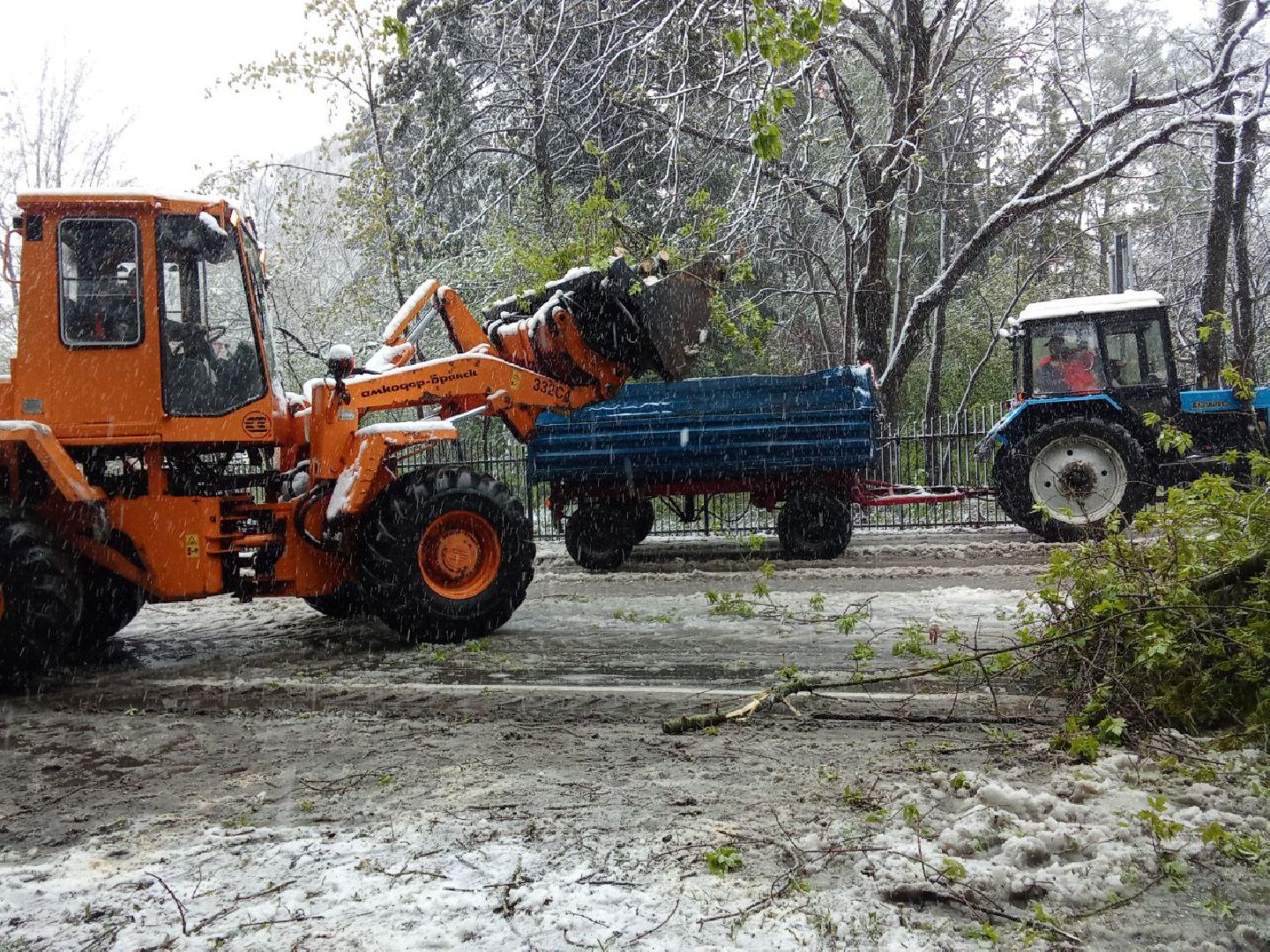 последствия снегопада, ивантеевка, упавшие деревья, коммунальная служба, коммунальная техника, подтопление территории,