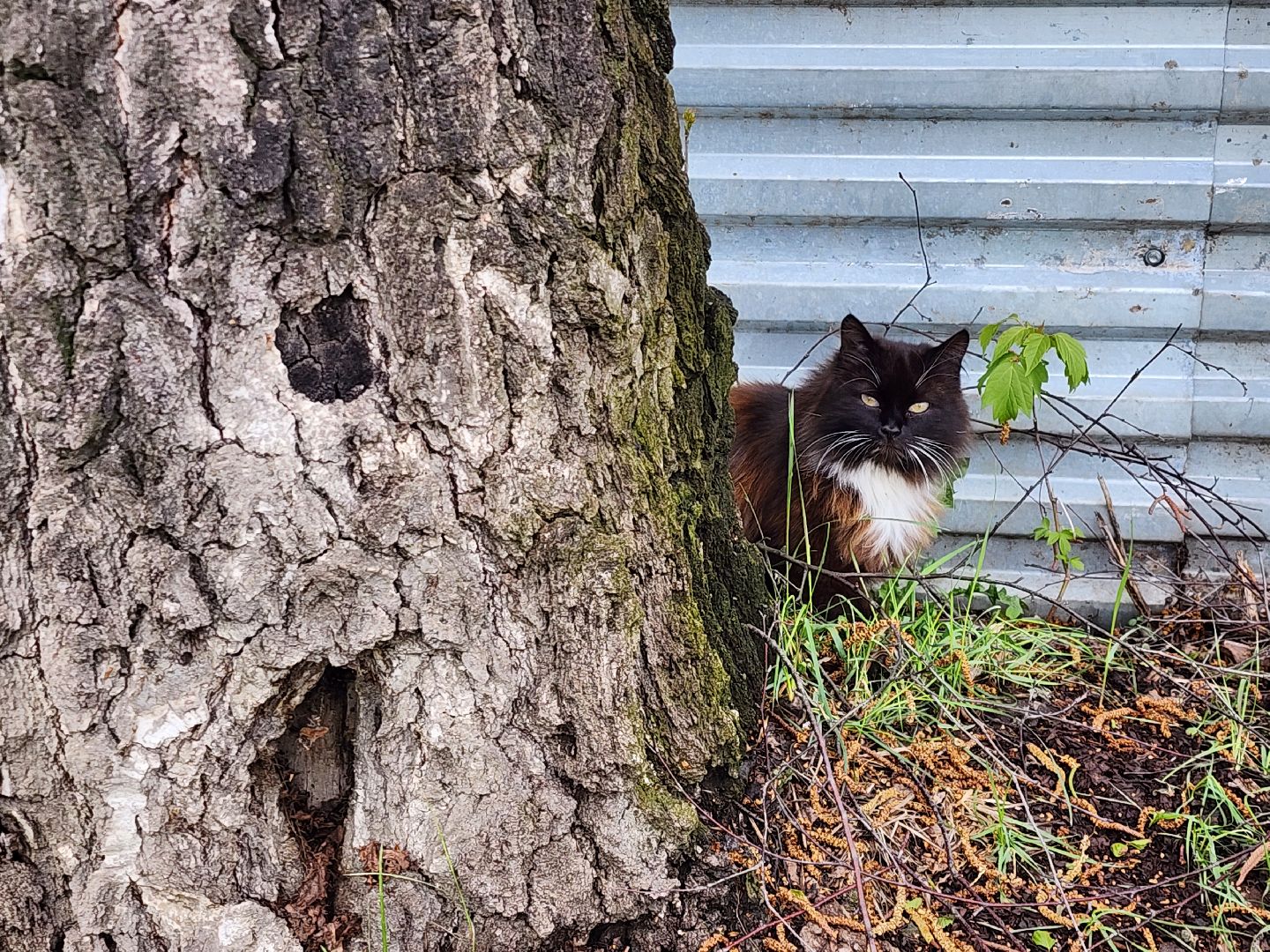 Котельная , Истра, Отопление,