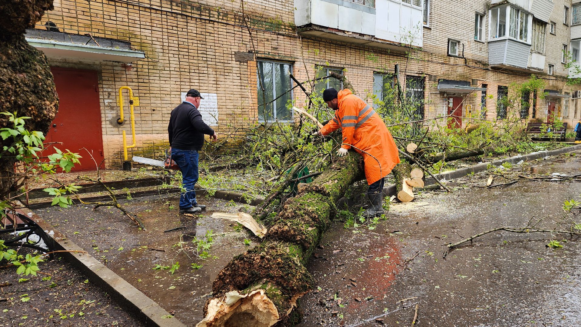 истра, благоустройство, дворы,