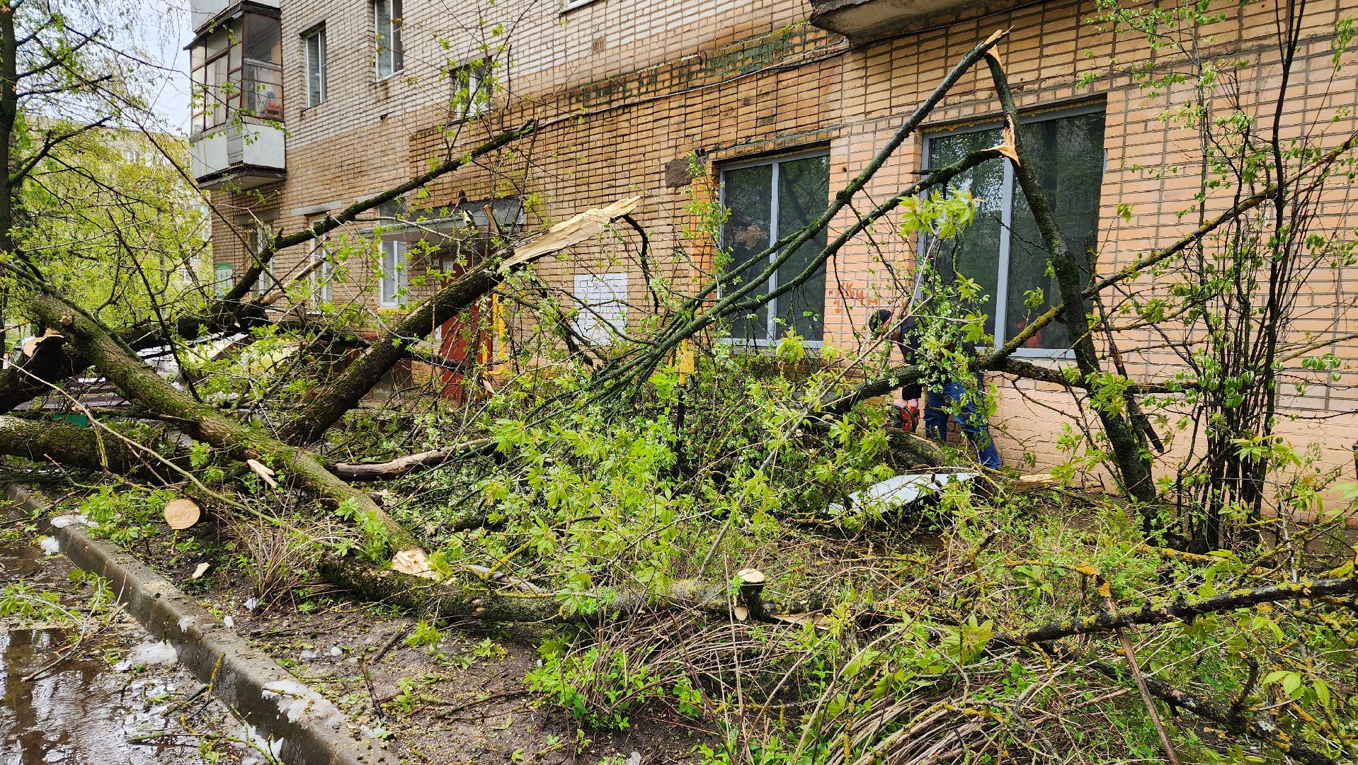 истра, благоустройство, дворы,
