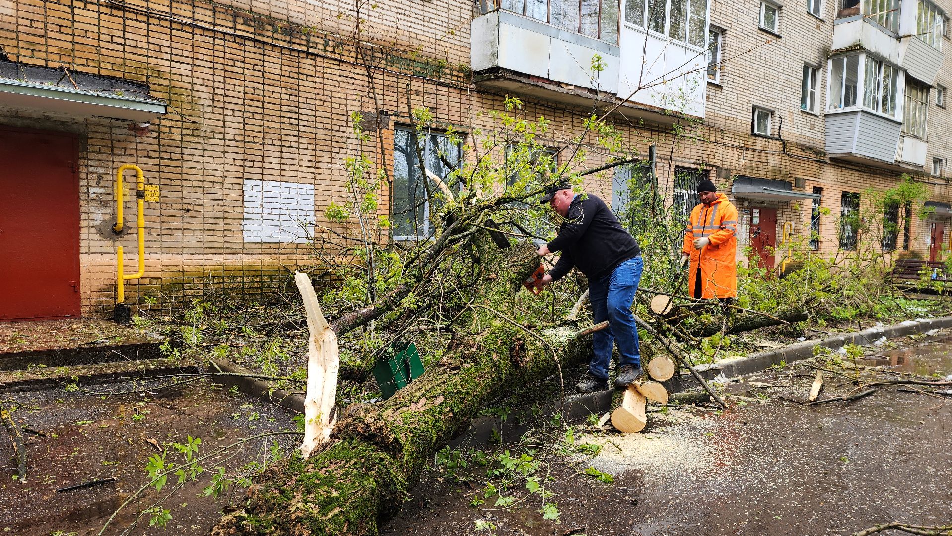 истра, благоустройство, дворы,