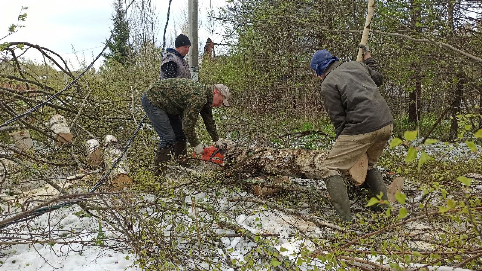 талдомский городской округ, деревня дубки, чп, майский снег, снегопад,