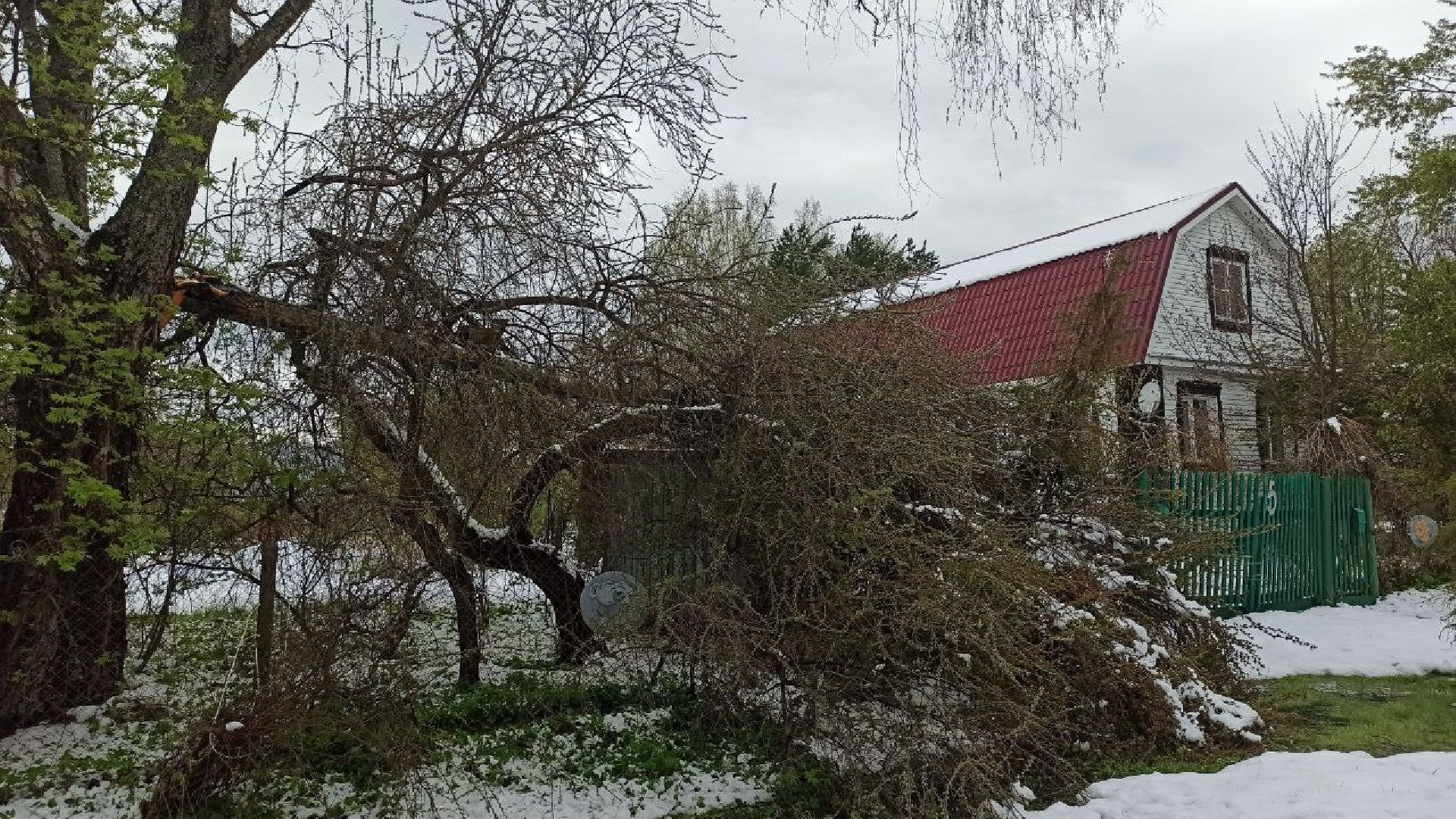 талдомский городской округ, деревня дубки, чп, майский снег, снегопад,