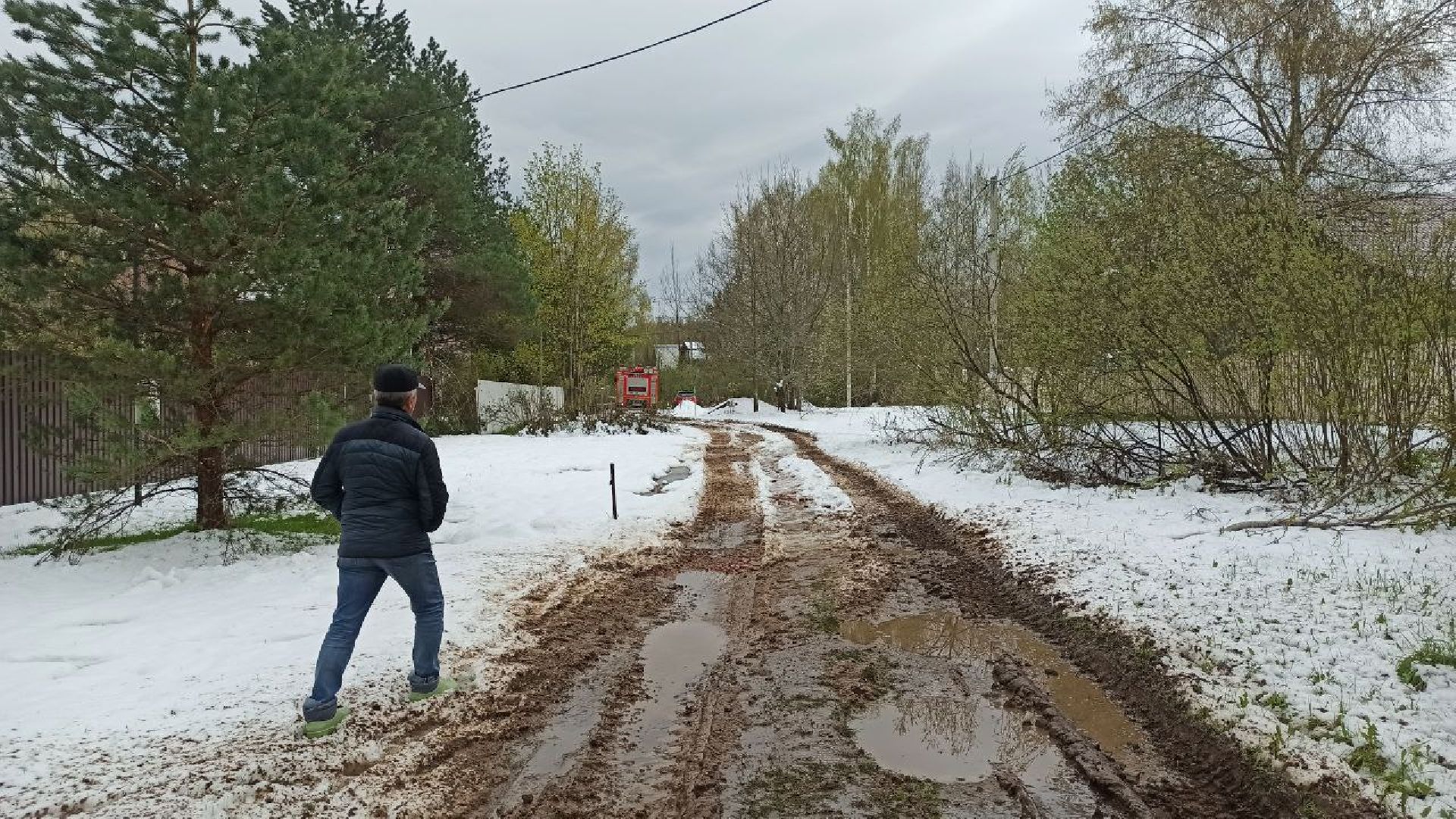 талдомский городской округ, деревня дубки, чп, майский снег, снегопад,