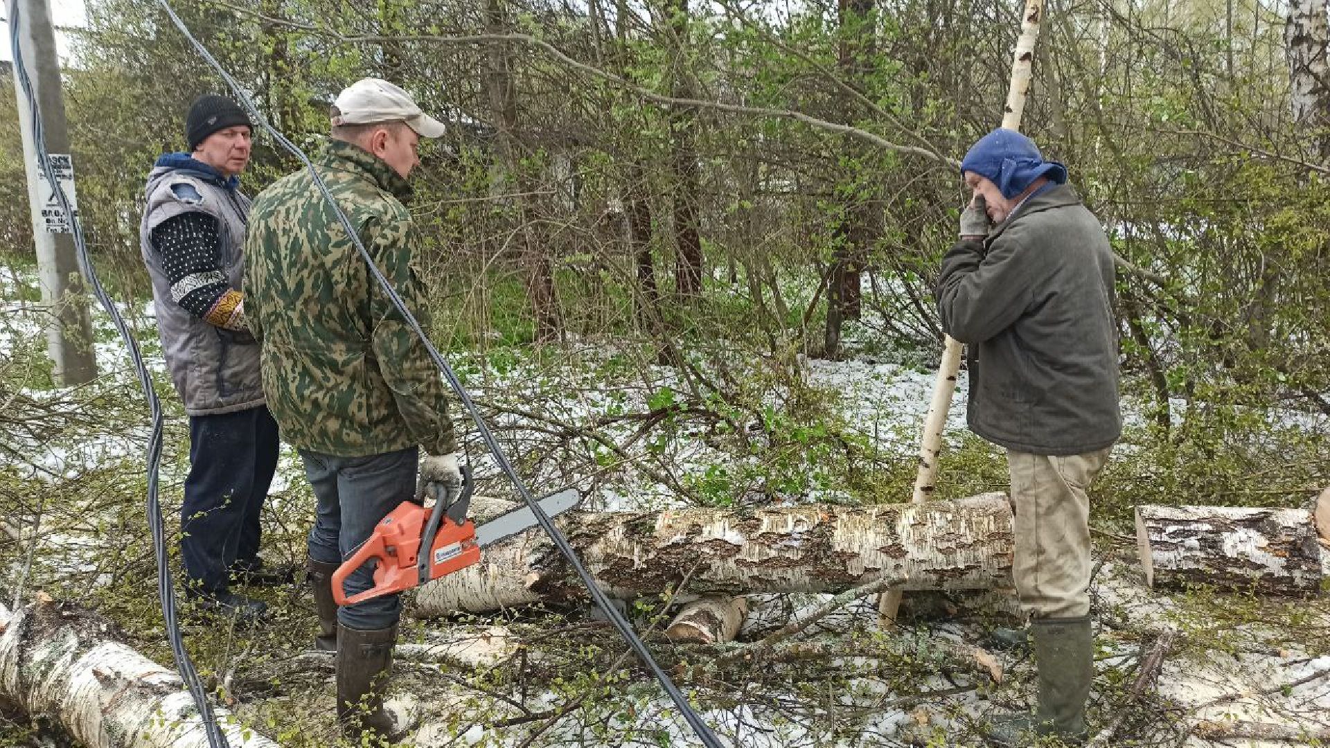 талдомский городской округ, деревня дубки, чп, майский снег, снегопад,