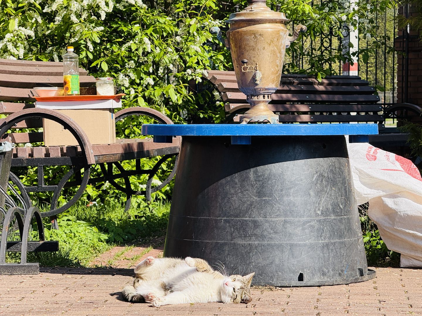 раменское, музей, игумново, музей колокольного искусства,