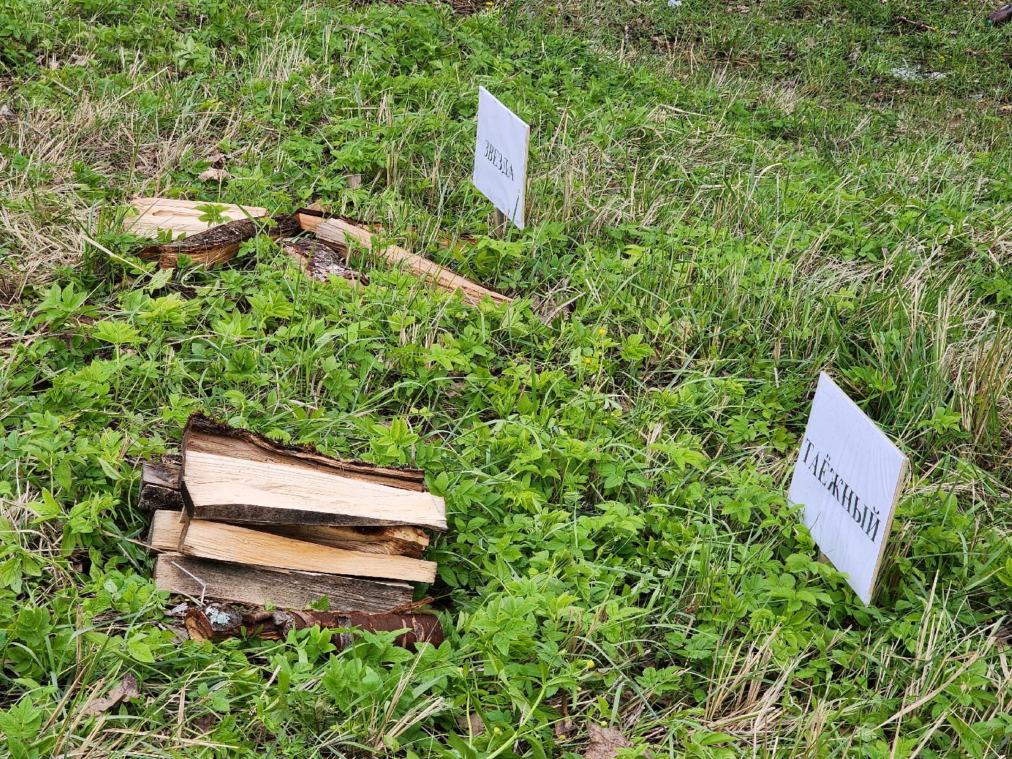 сергиев посад, театральный ковчег в дубраве, фестиваль, военно-патриотический фестиваль, ветераны, поисковый отряд пересвет, плацдарм,