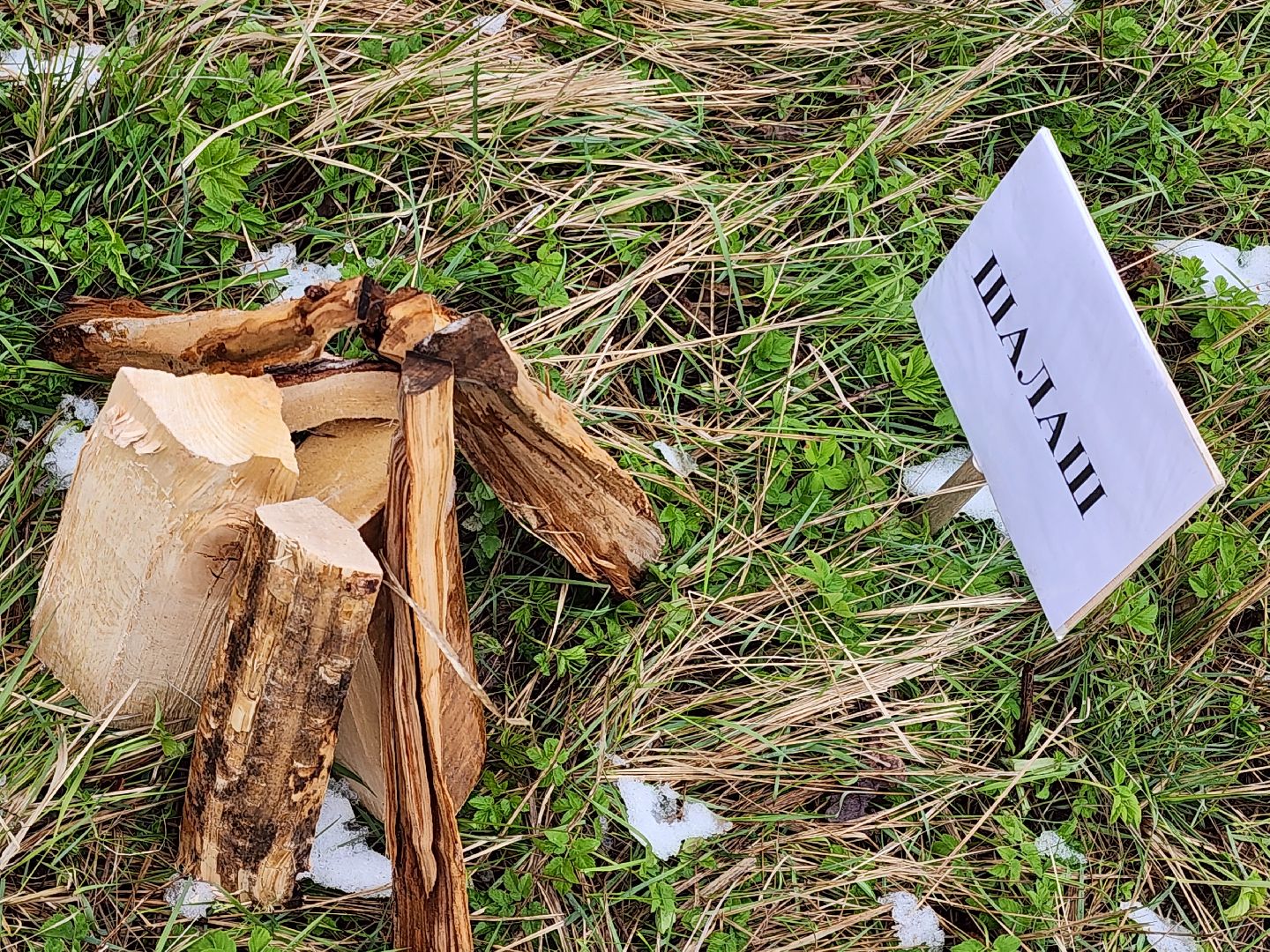 сергиев посад, театральный ковчег в дубраве, фестиваль, военно-патриотический фестиваль, ветераны, поисковый отряд пересвет, плацдарм,