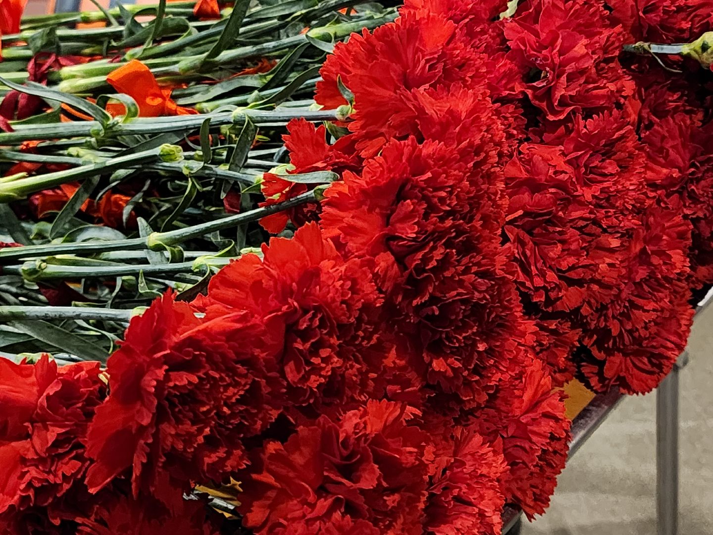 сергиев посад, театральный ковчег в дубраве, фестиваль, военно-патриотический фестиваль, ветераны, поисковый отряд пересвет, плацдарм,