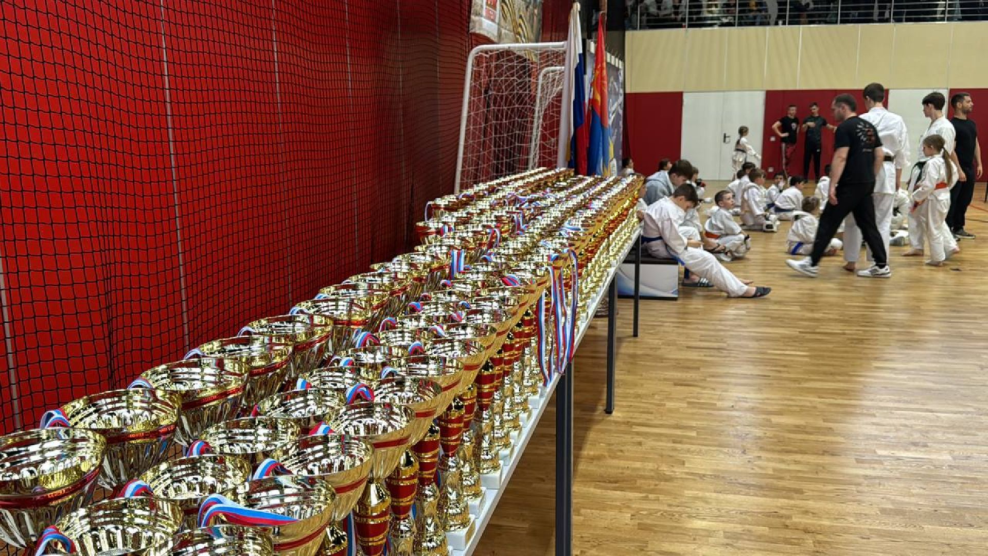 соревнования, турнир, первенство, каратэ-до,