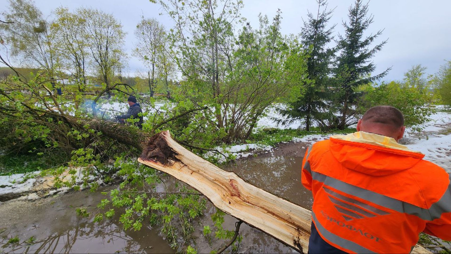 Дмитров, Яхрома, ЧП, Циклон, Россети,