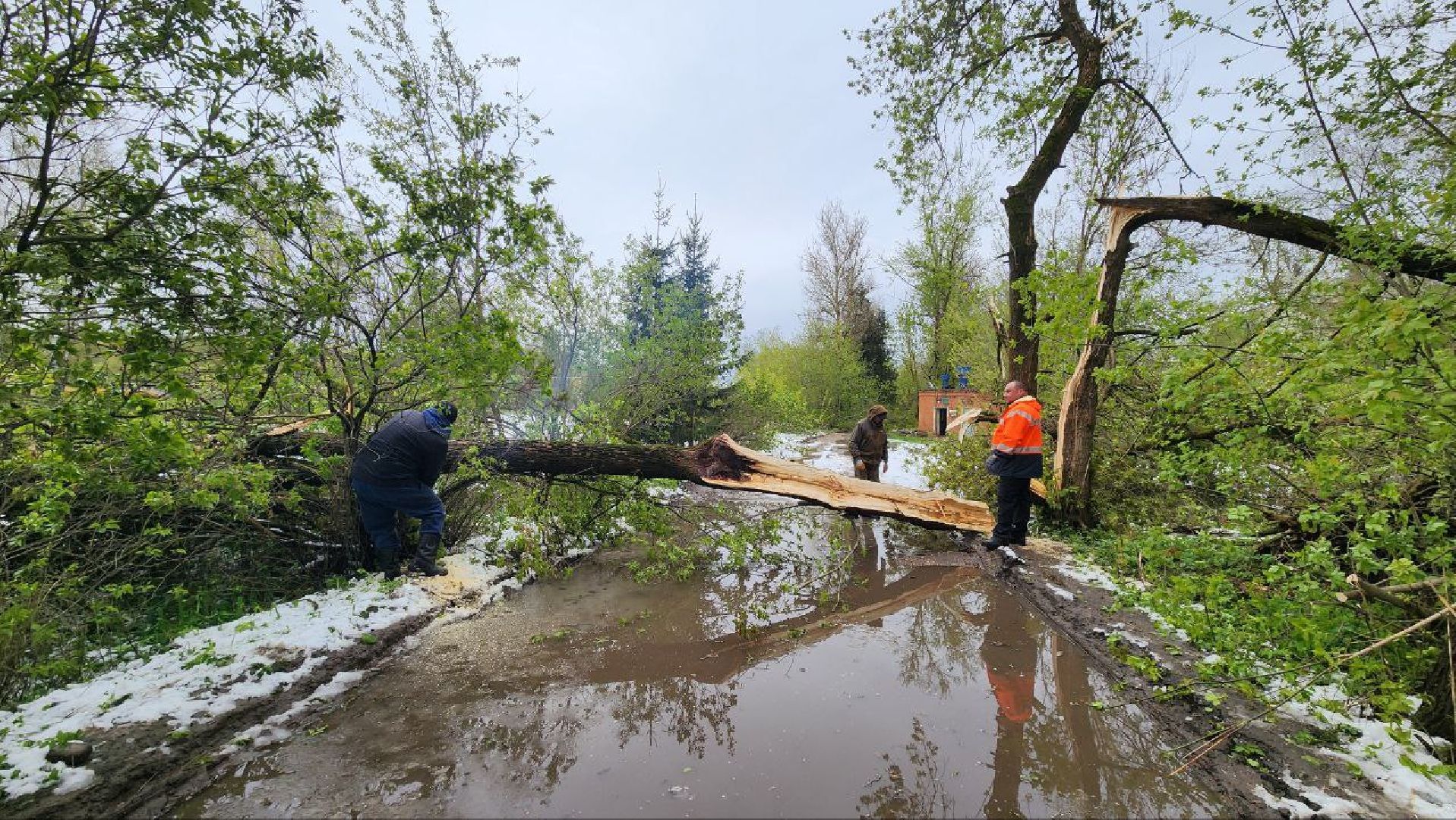 Дмитров, Яхрома, ЧП, Циклон, Россети,