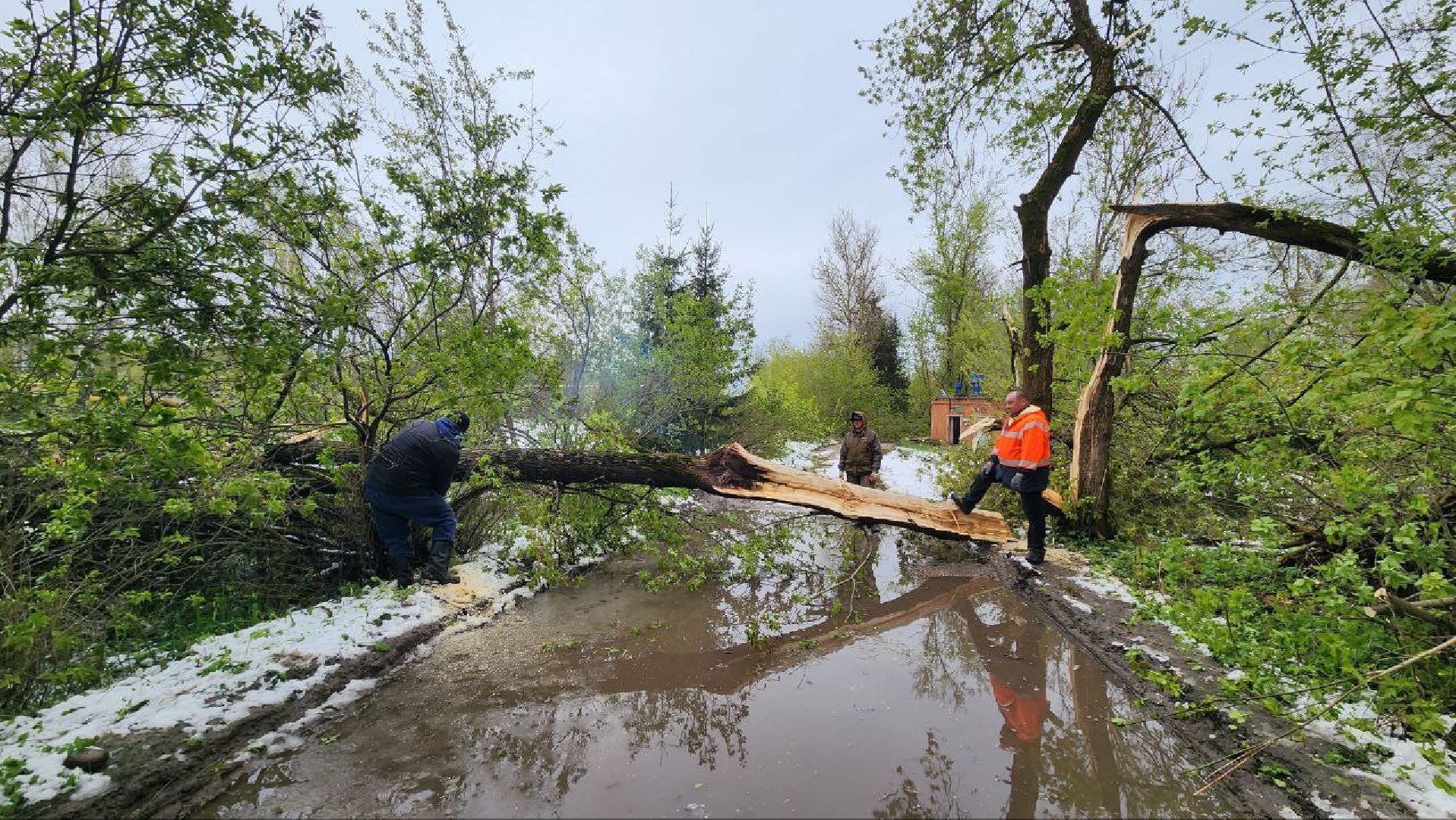 Дмитров, Яхрома, ЧП, Циклон, Россети,