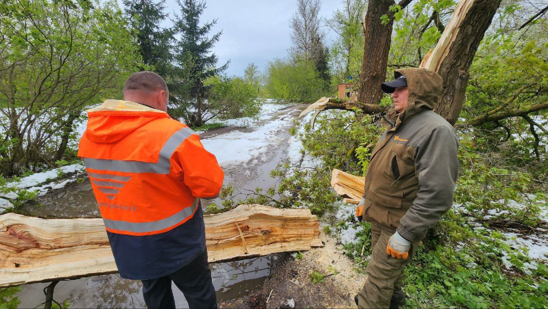Дмитров, Яхрома, ЧП, Циклон, Россети,