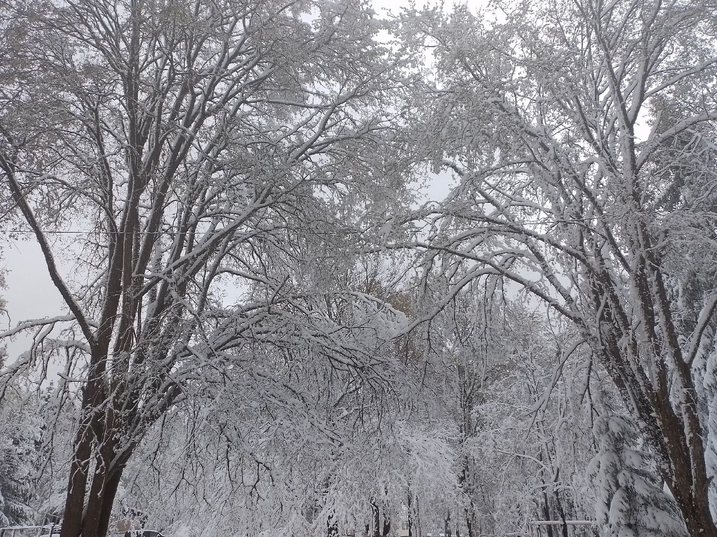 городской округ восход, снегопад, жкх, Засыпало снегом,