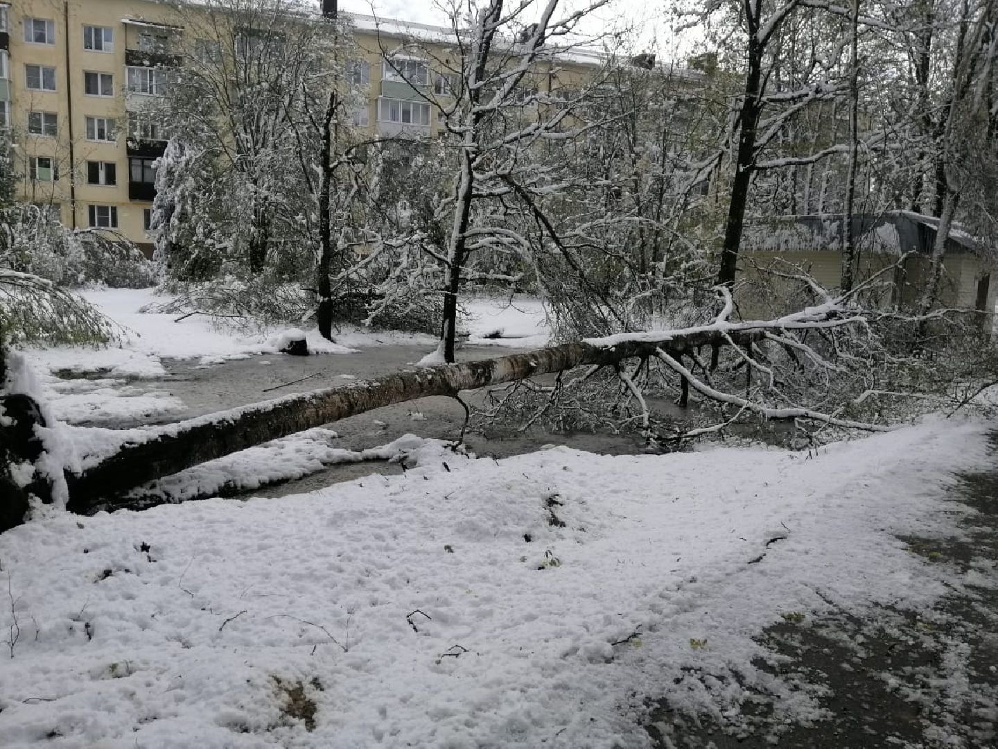 городской округ восход, снегопад, жкх, Засыпало снегом,