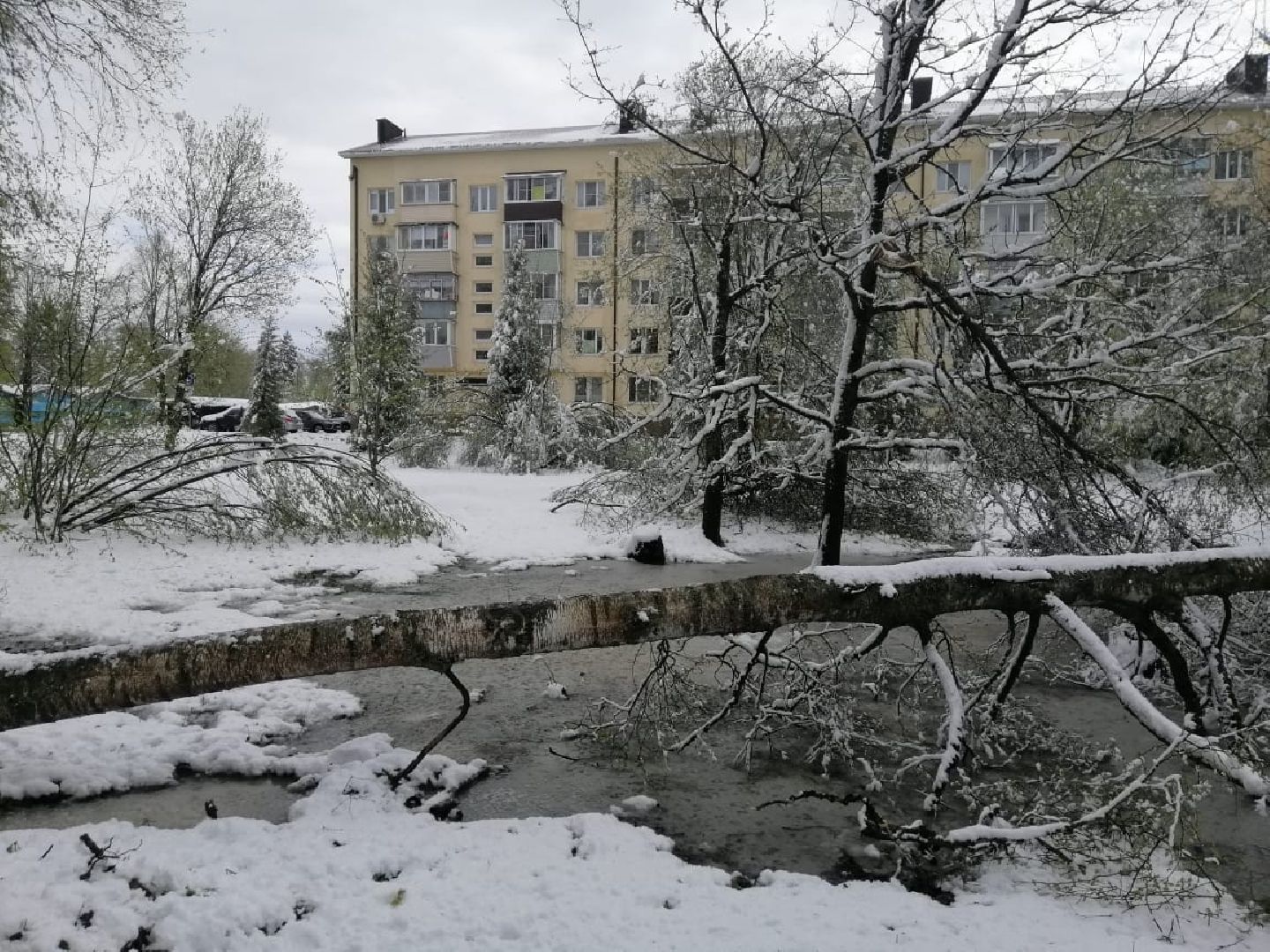 городской округ восход, снегопад, жкх, Засыпало снегом,