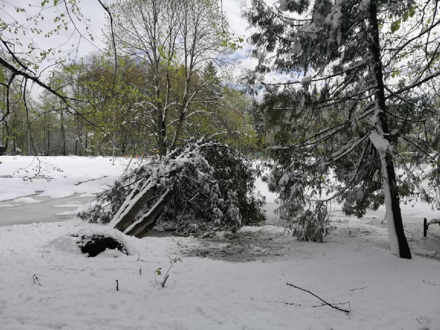 городской округ восход, снегопад, жкх, Засыпало снегом,