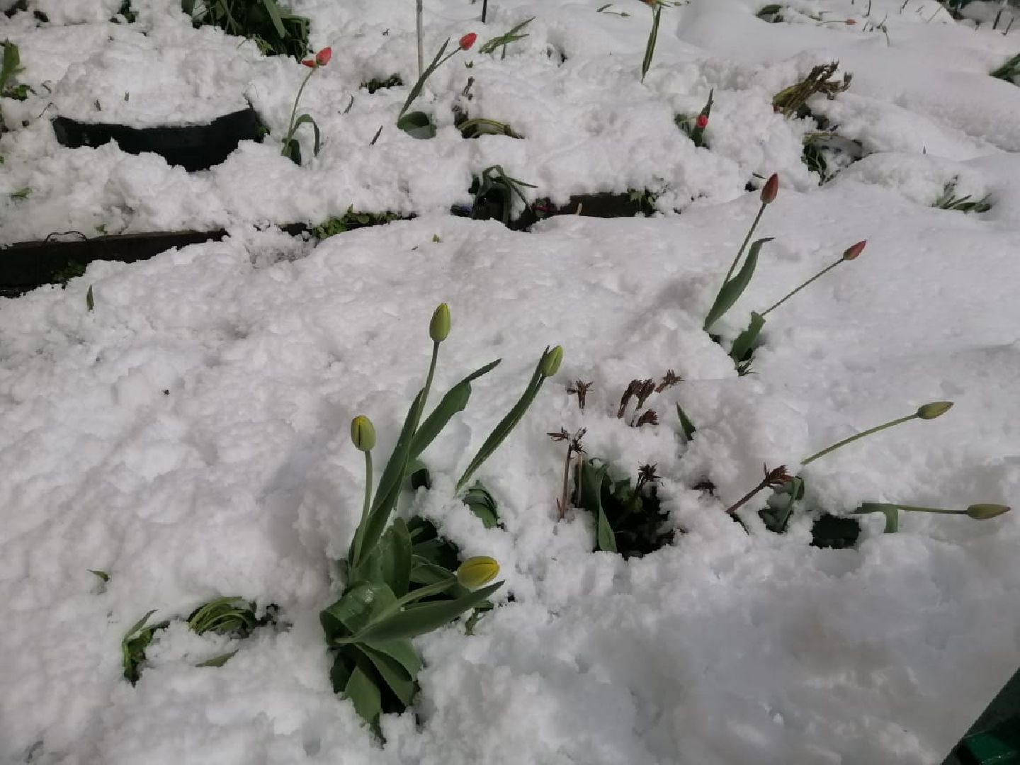городской округ восход, снегопад, жкх, Засыпало снегом,