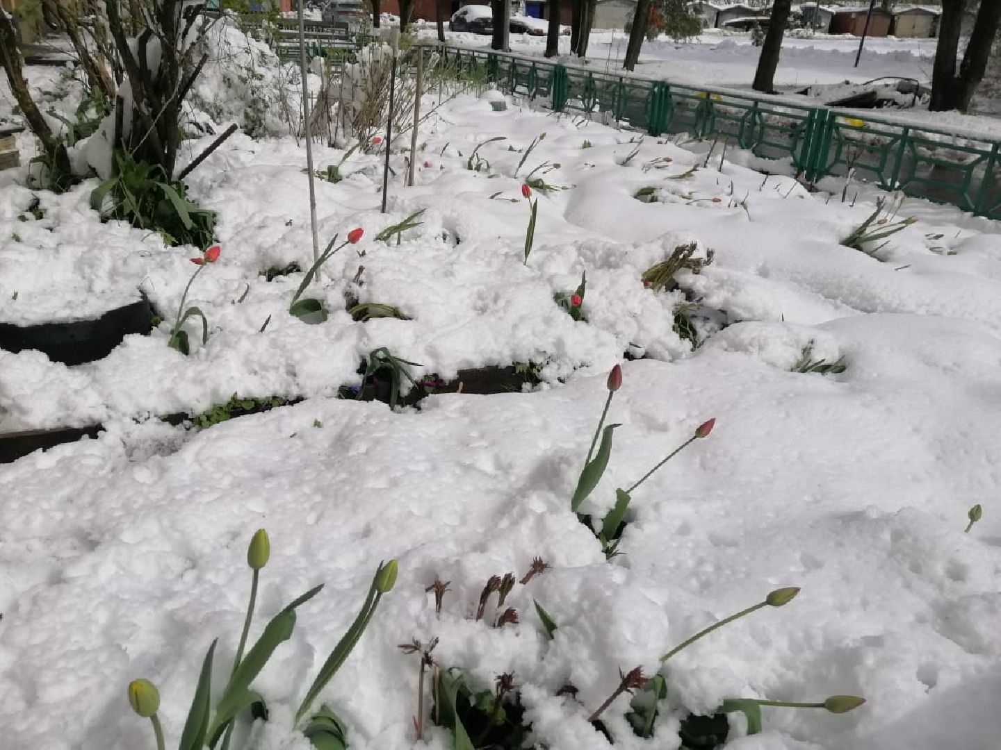 городской округ восход, снегопад, жкх, Засыпало снегом,