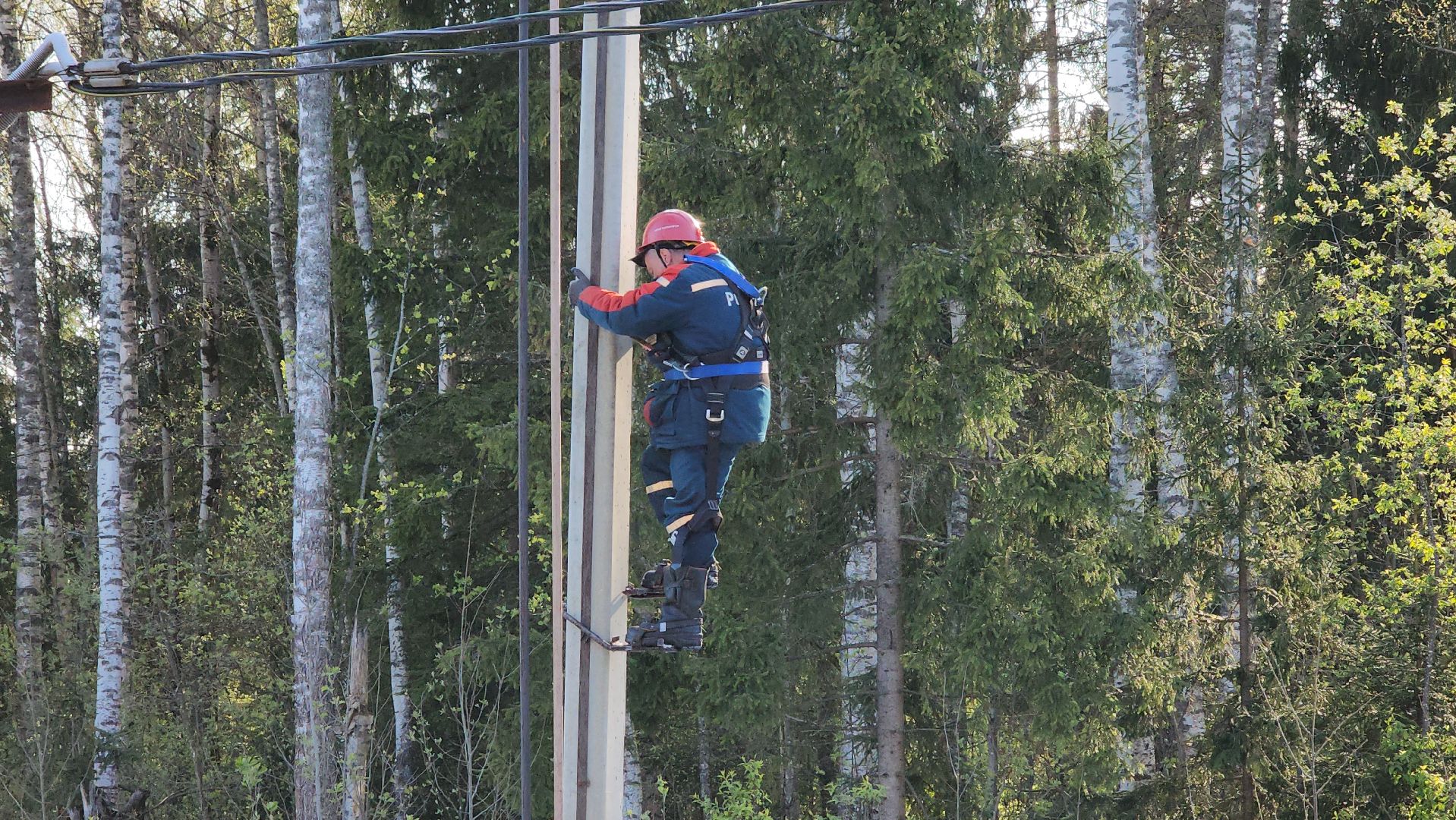 Талдом, Электричество , Россети, ЧП,