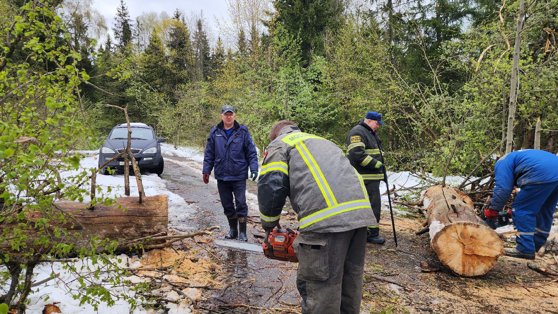 истра, мособлпожспас, ликвидация последствий непогоды,