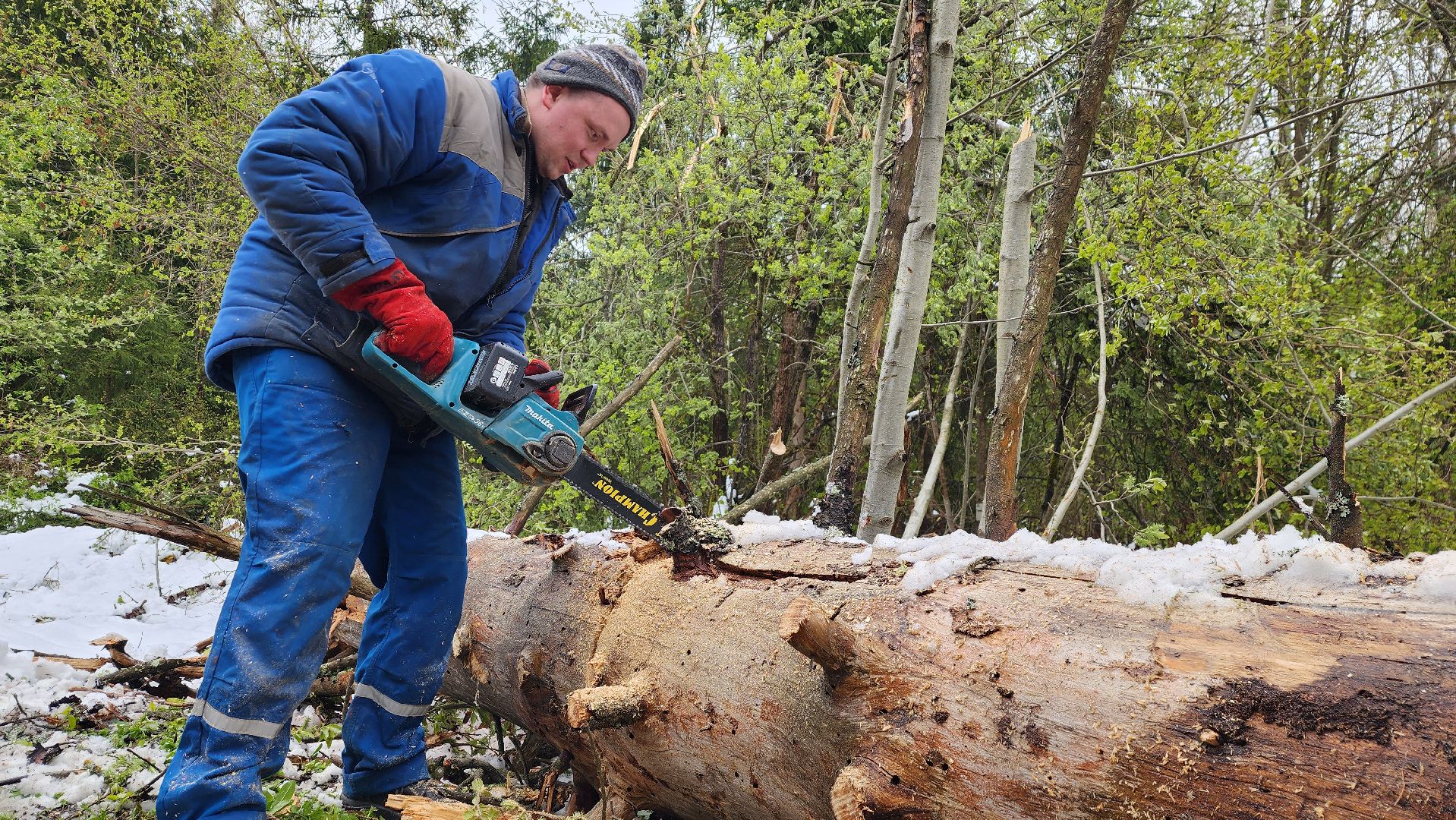 истра, мособлпожспас, ликвидация последствий непогоды,