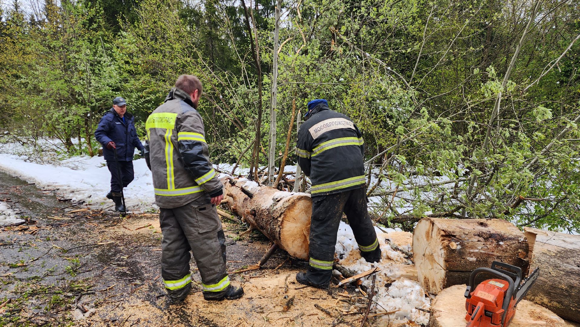 истра, мособлпожспас, ликвидация последствий непогоды,