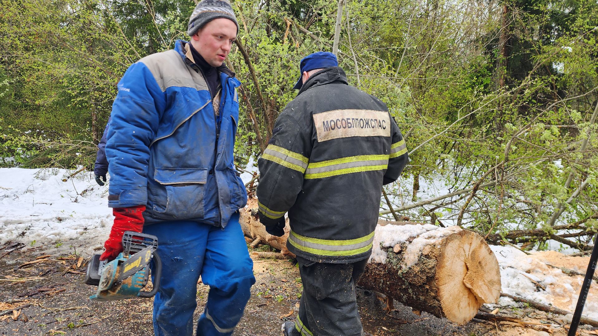 истра, мособлпожспас, ликвидация последствий непогоды,