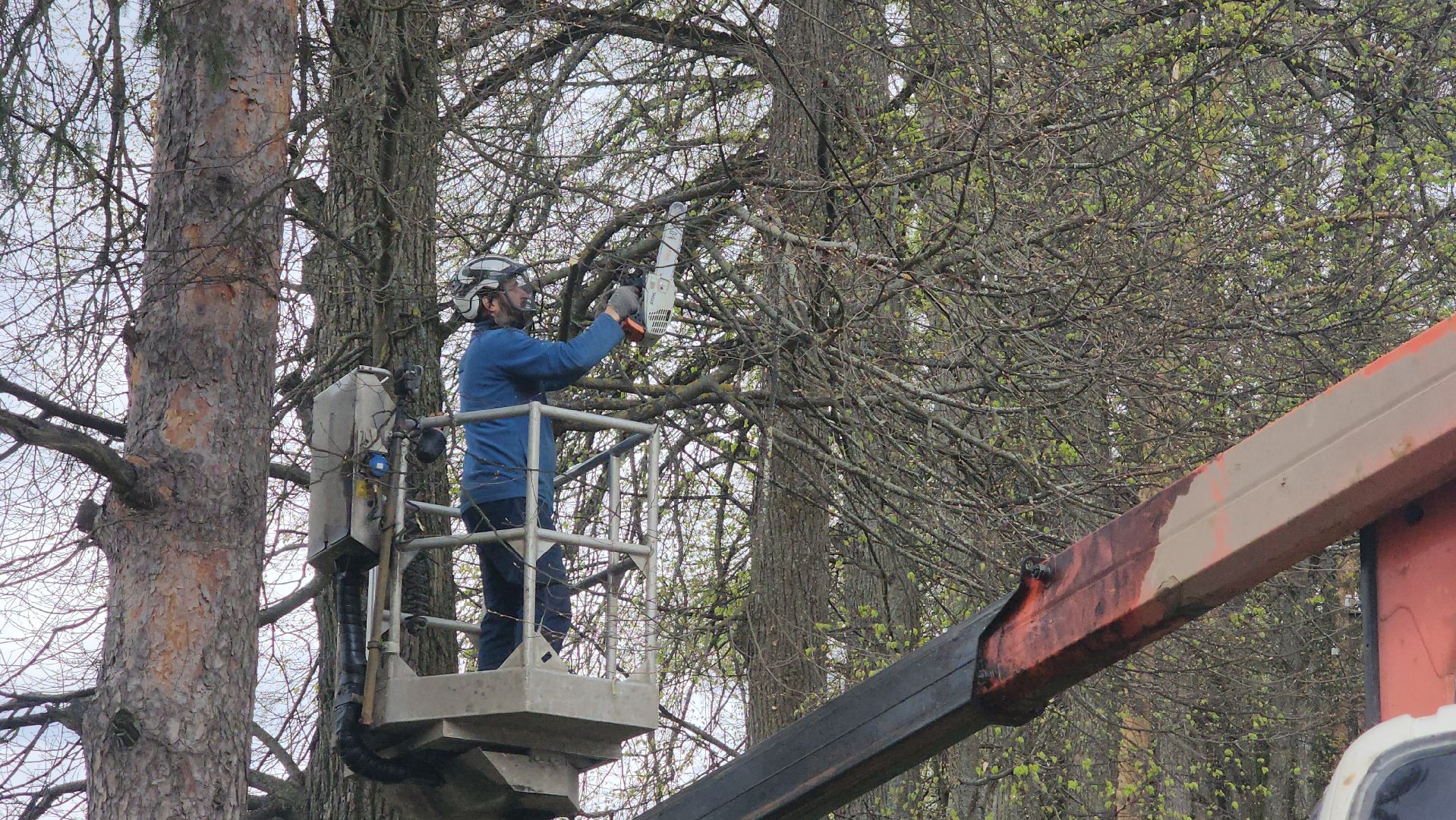Электричество , ЧП, Истра,