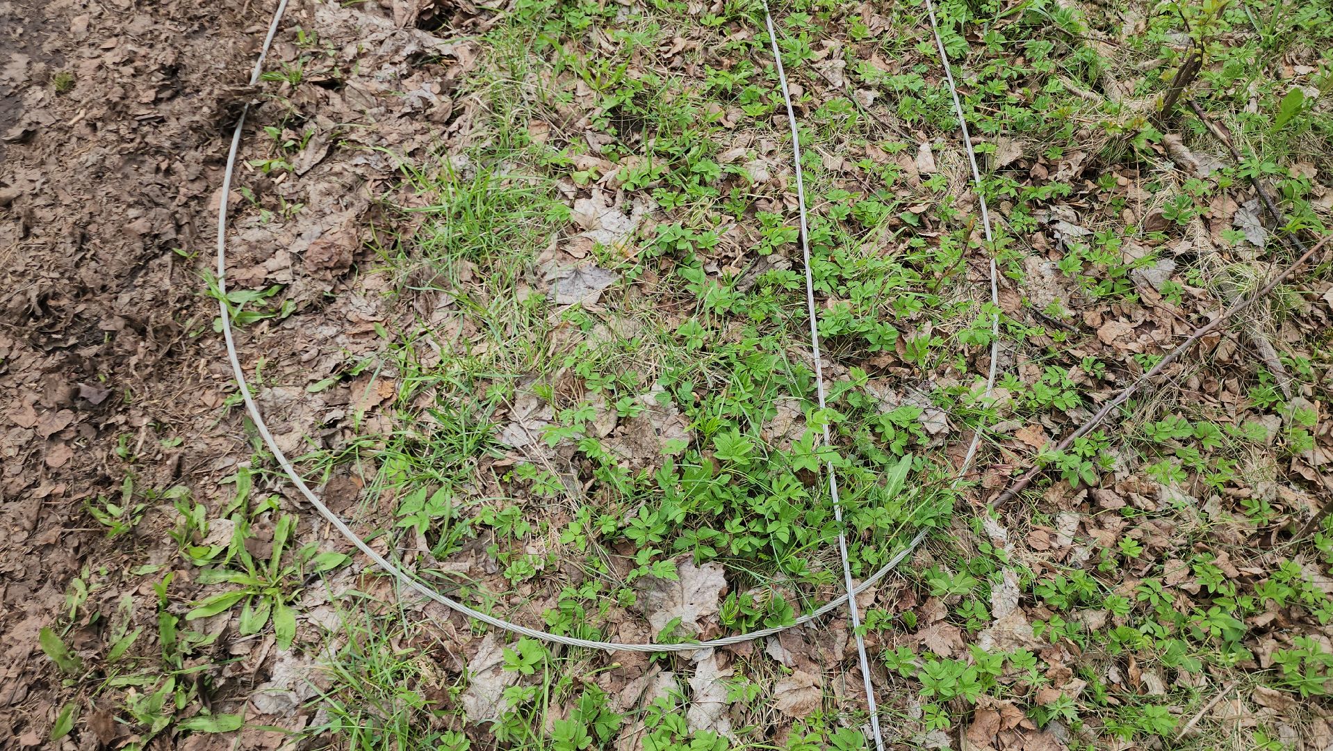 Электричество , ЧП, Истра,