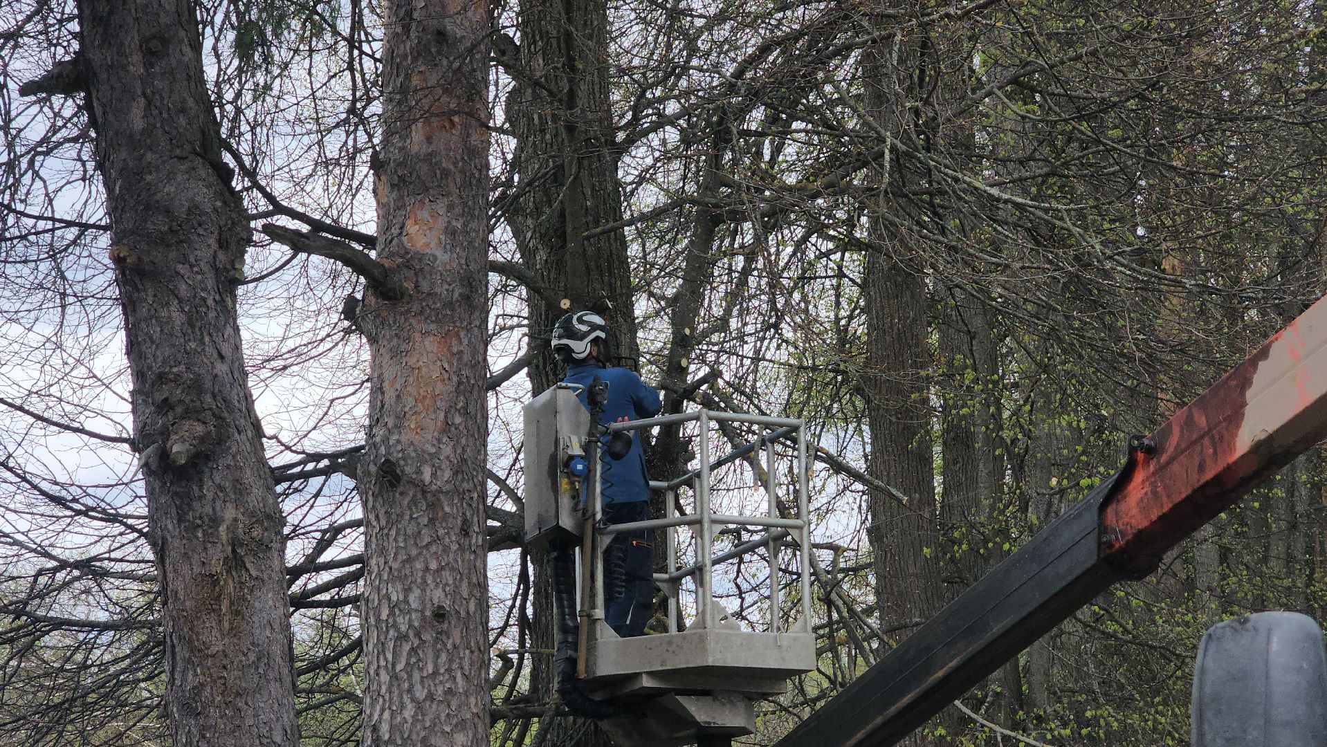 Электричество , ЧП, Истра,