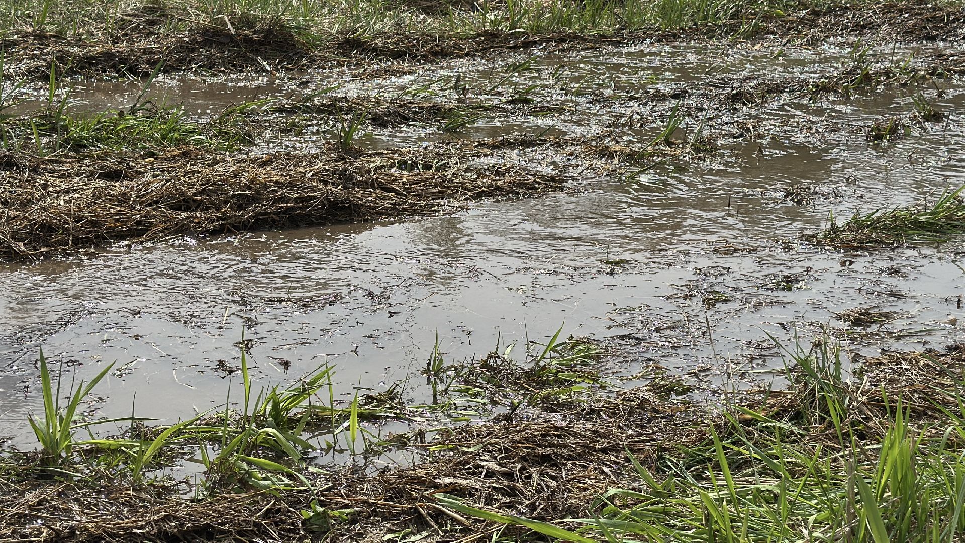 клин, общество, жкх, чп, устранение последствий снегопада, болотоход, эксклюзив,