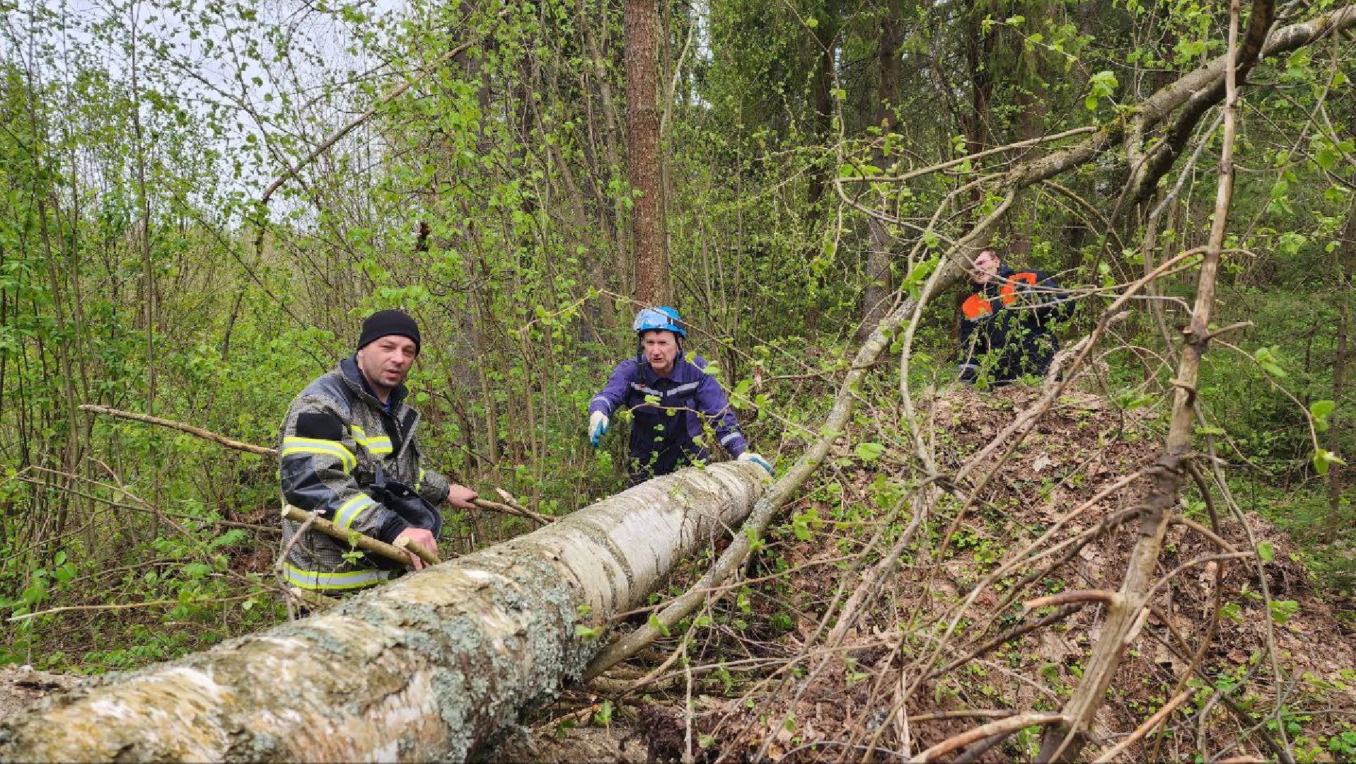 Дмитров, Россети, ЧП, Циклон, Болотоход,