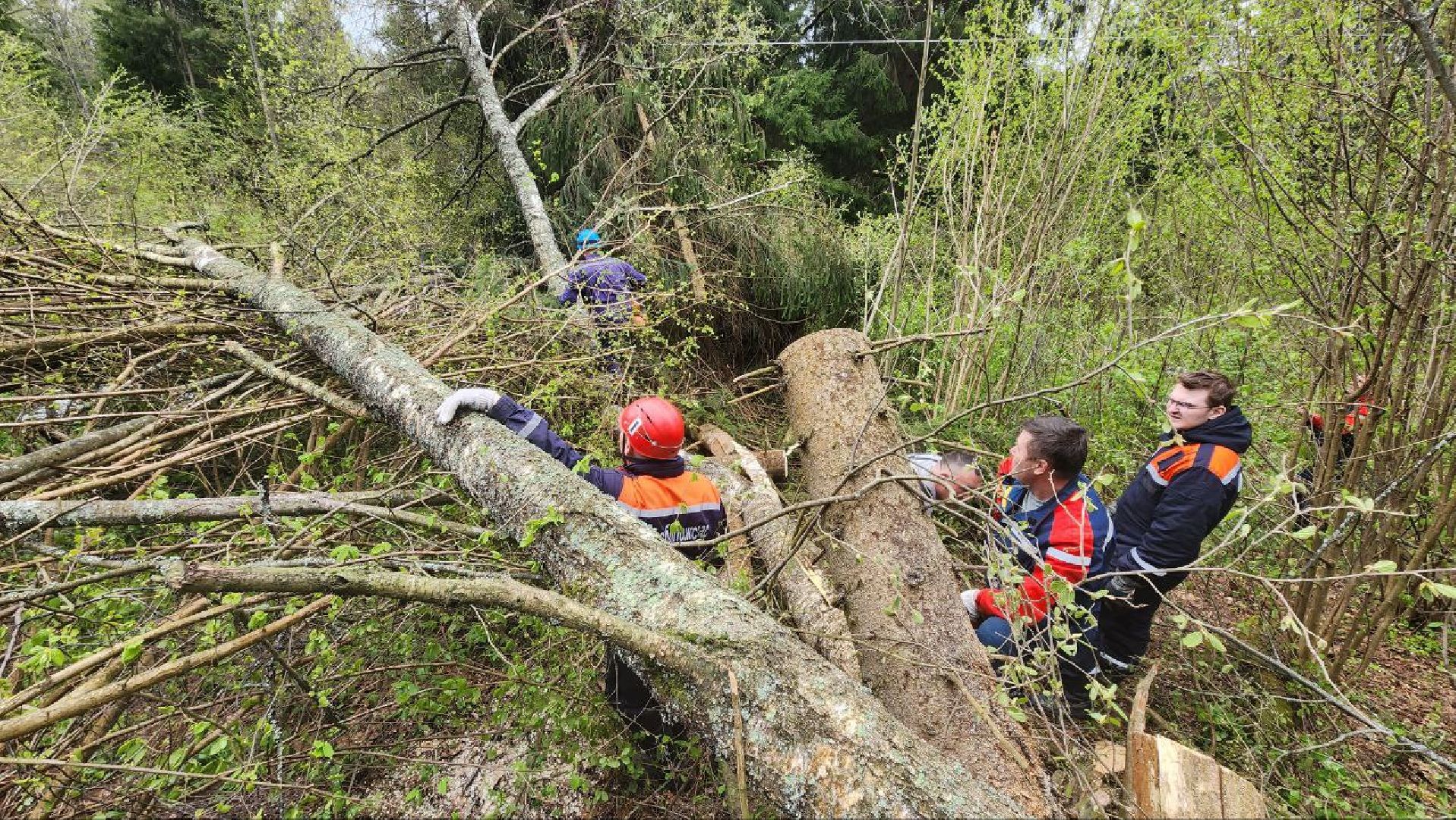 Дмитров, Россети, ЧП, Циклон, Болотоход,