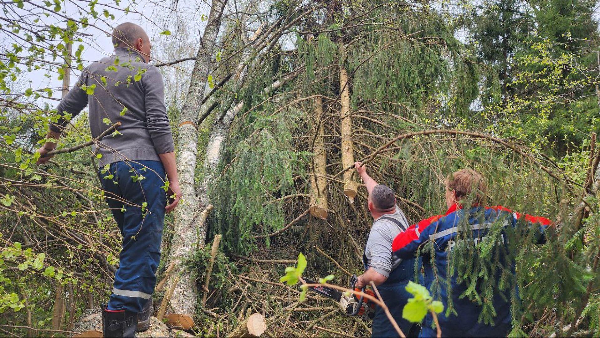 Дмитров, Россети, ЧП, Циклон, Болотоход,